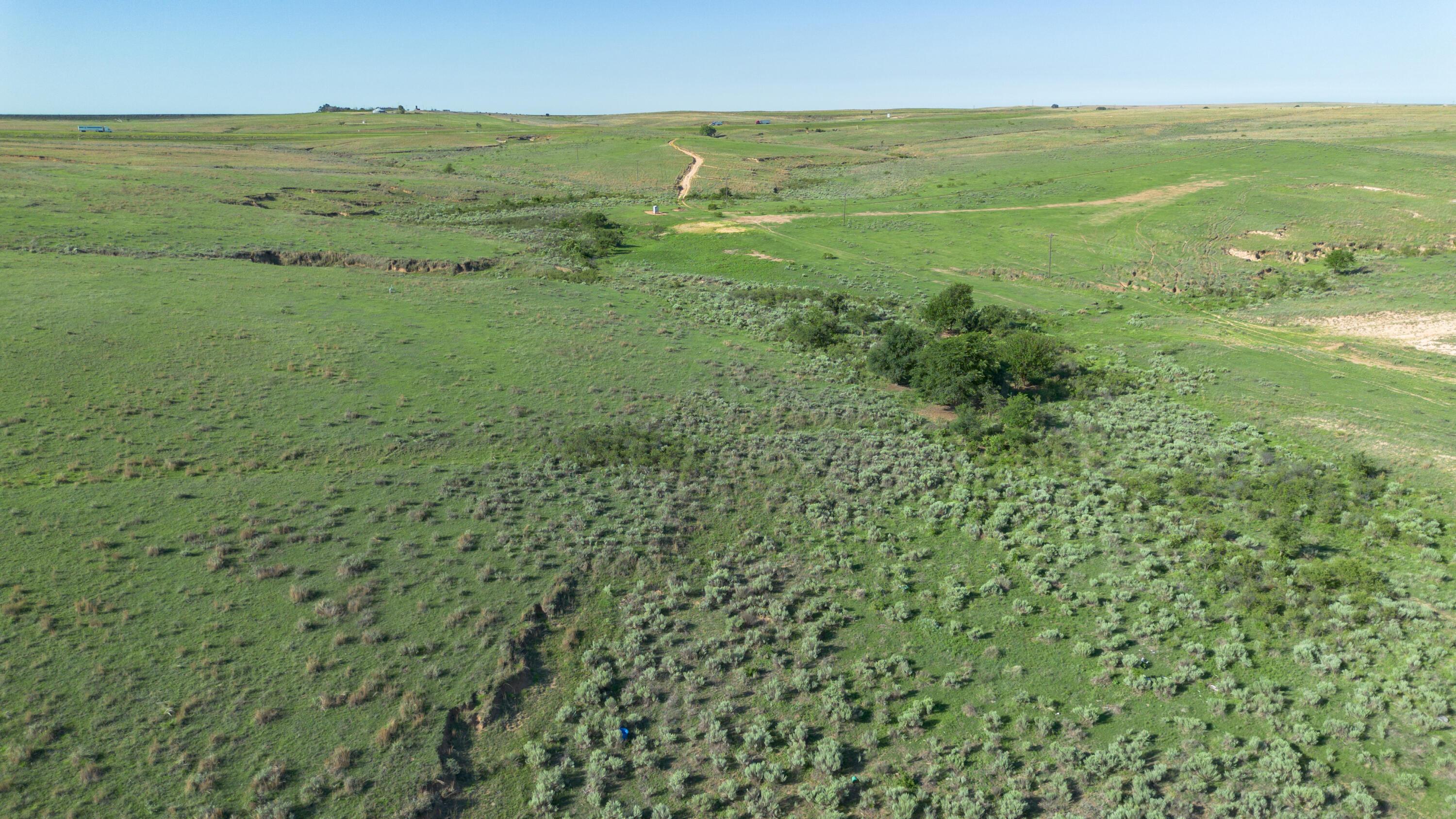 Peterson Creek ±640ac Property Photo 14