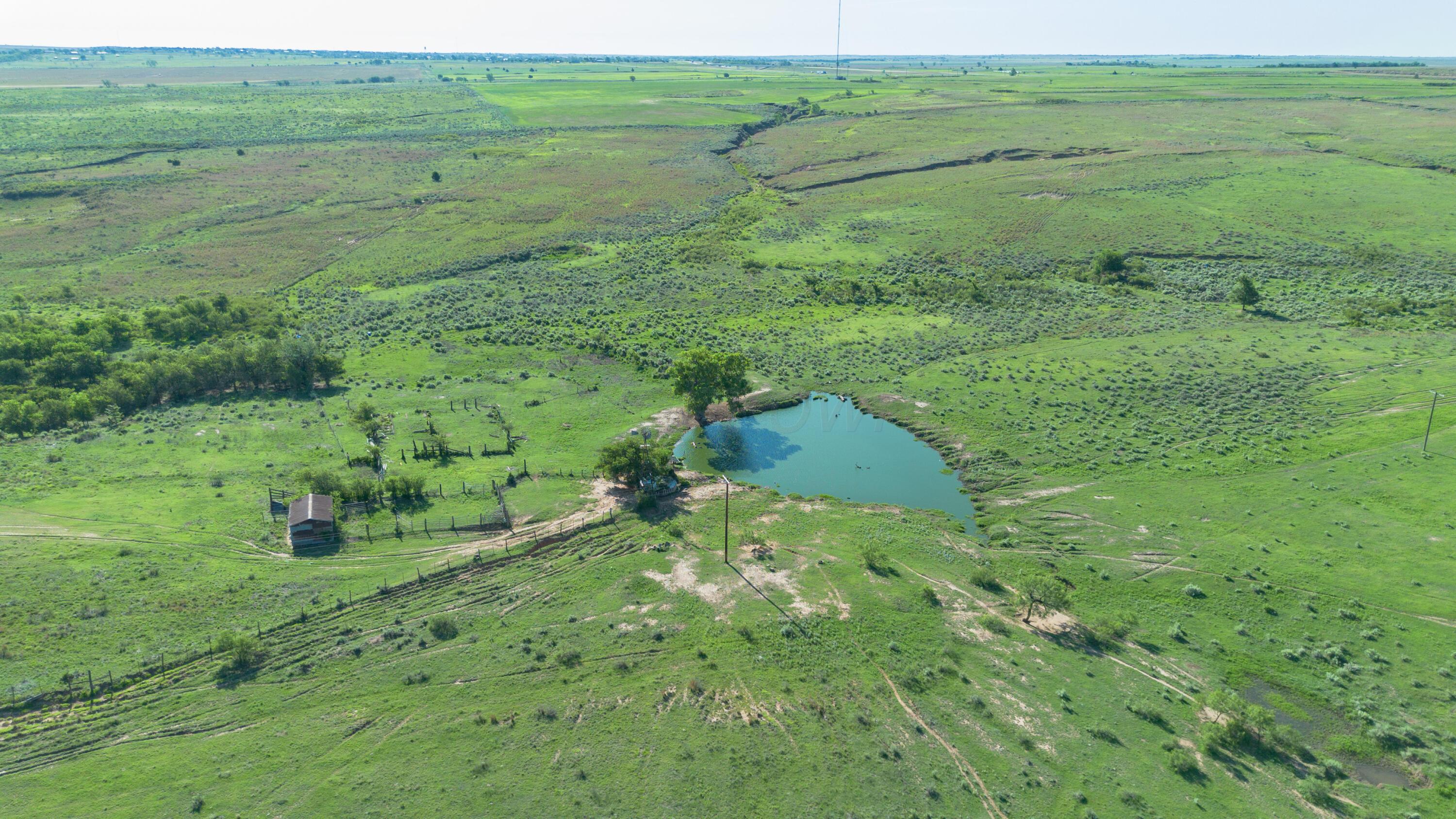 Peterson Creek ±640ac Property Photo 20