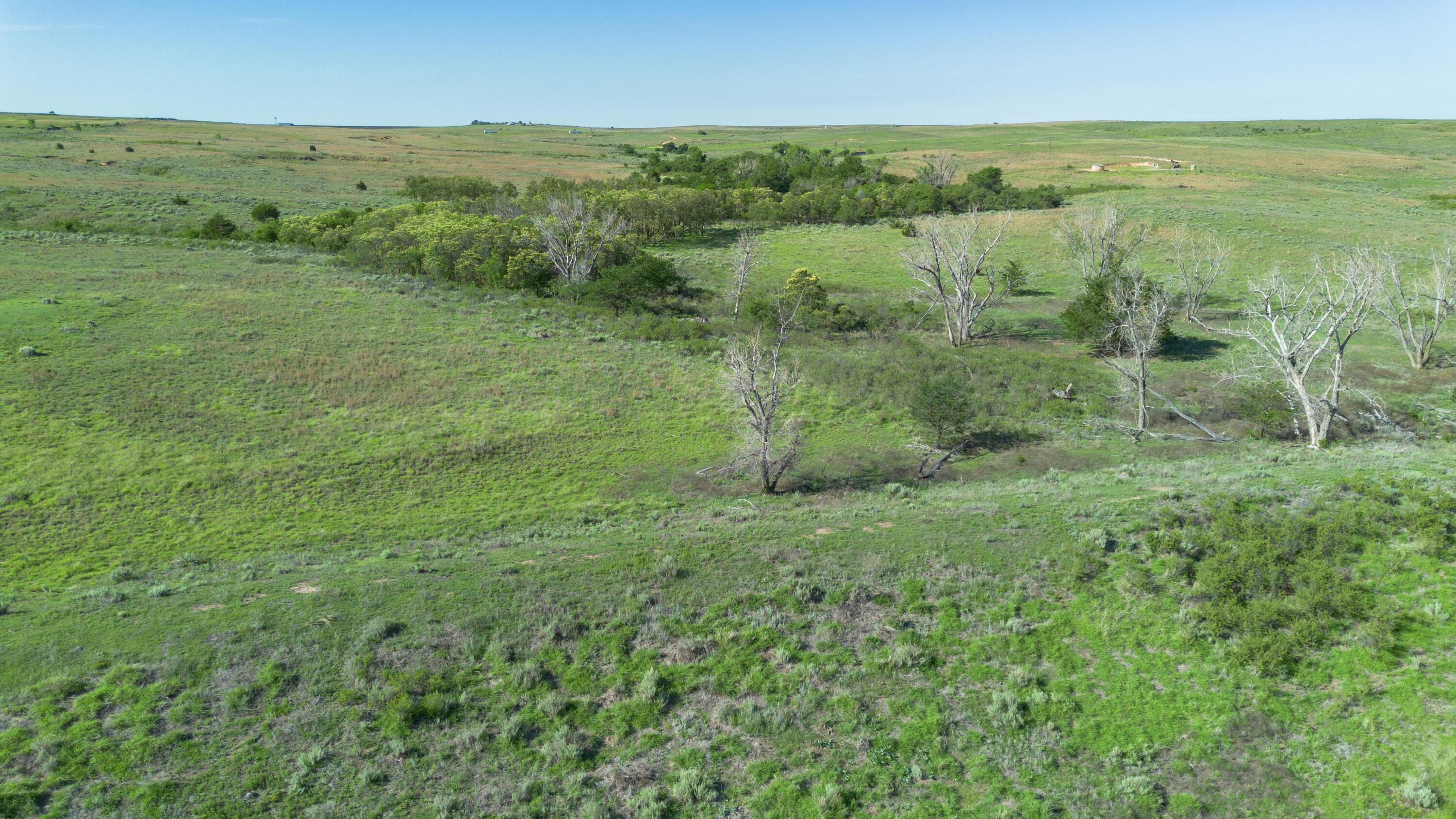 Peterson Creek ±640ac Property Photo 23