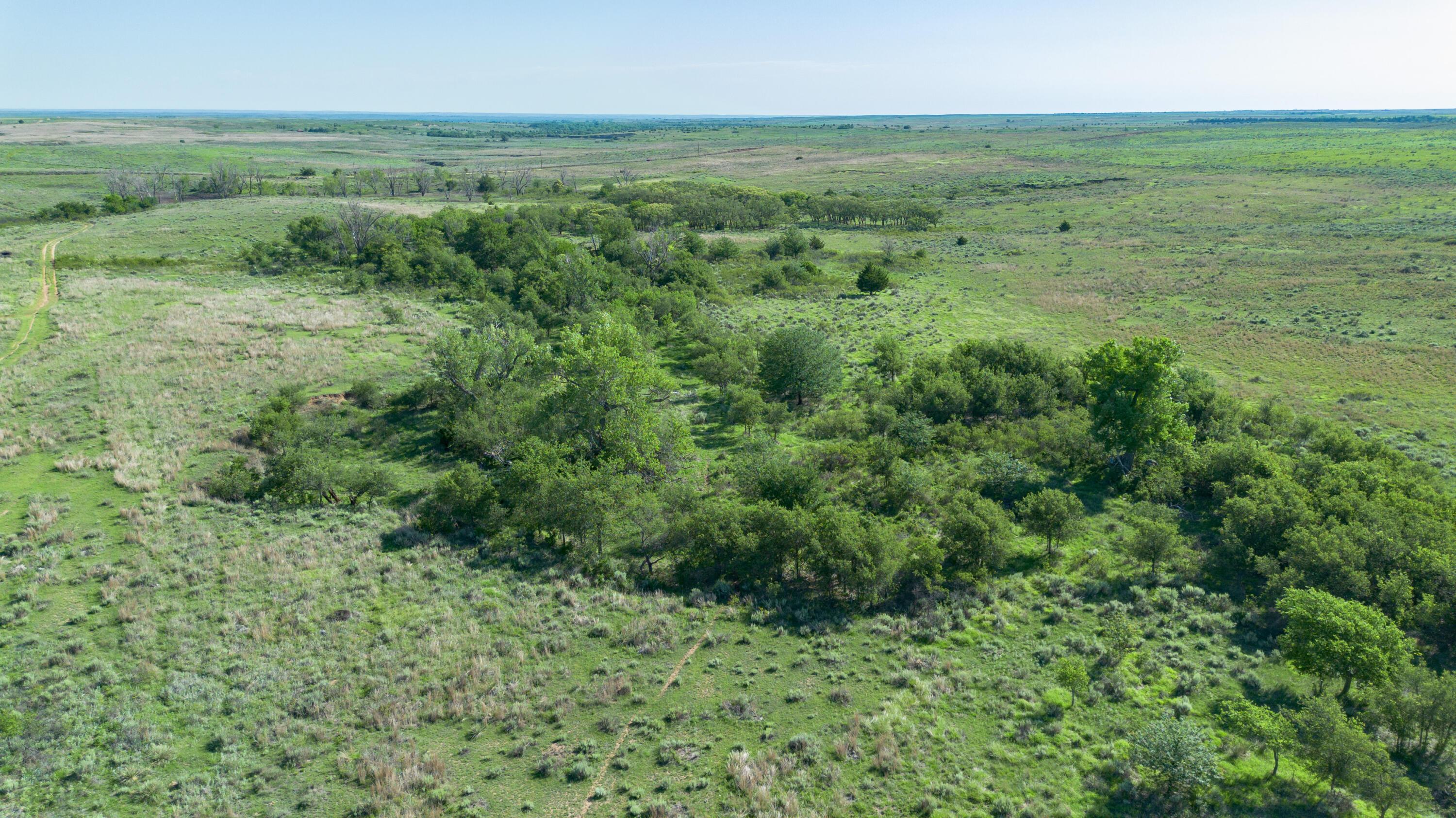Peterson Creek ±640ac Property Photo 28