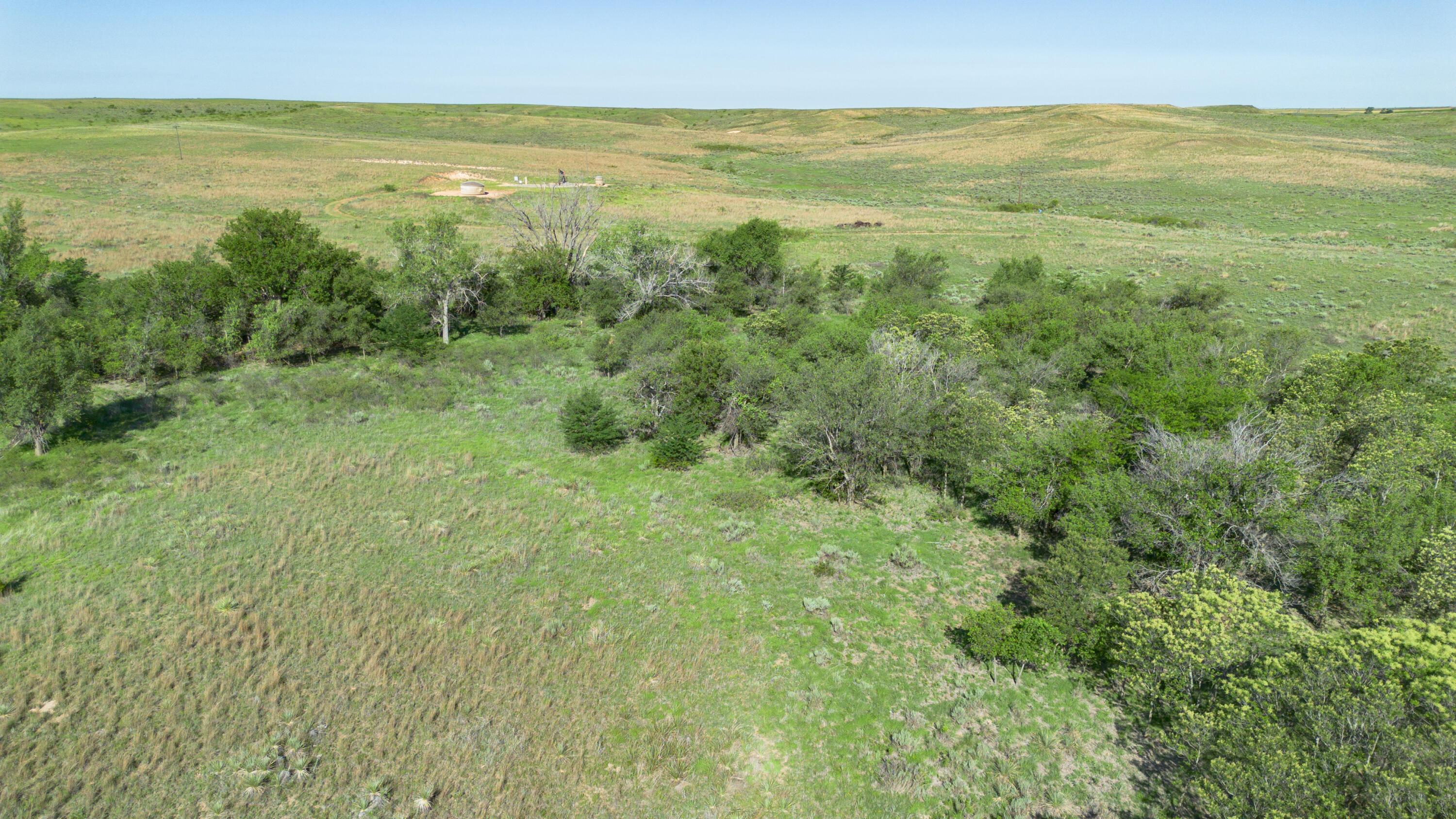 Peterson Creek ±640ac Property Photo 29