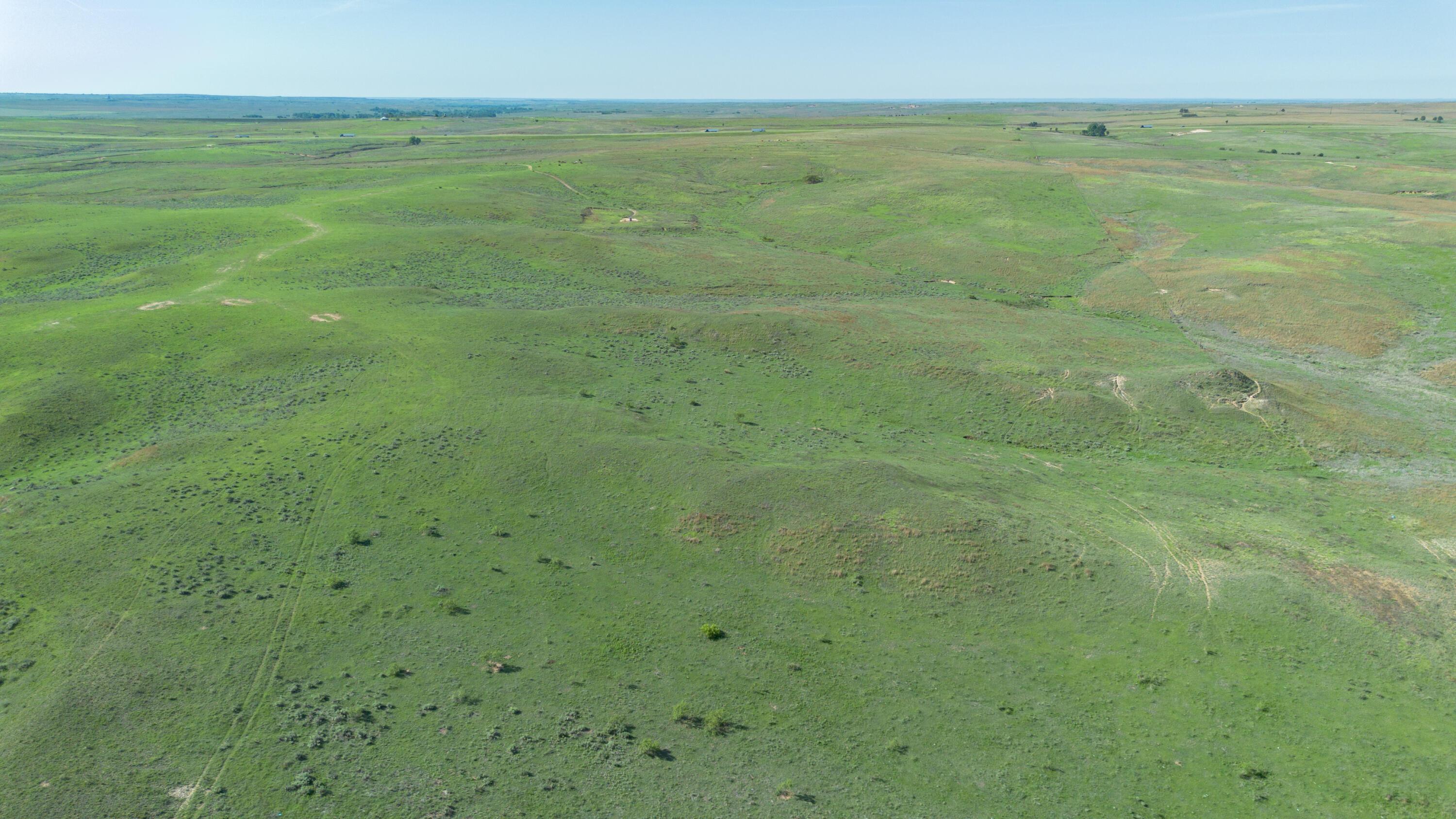 Peterson Creek ±640ac Property Photo 34