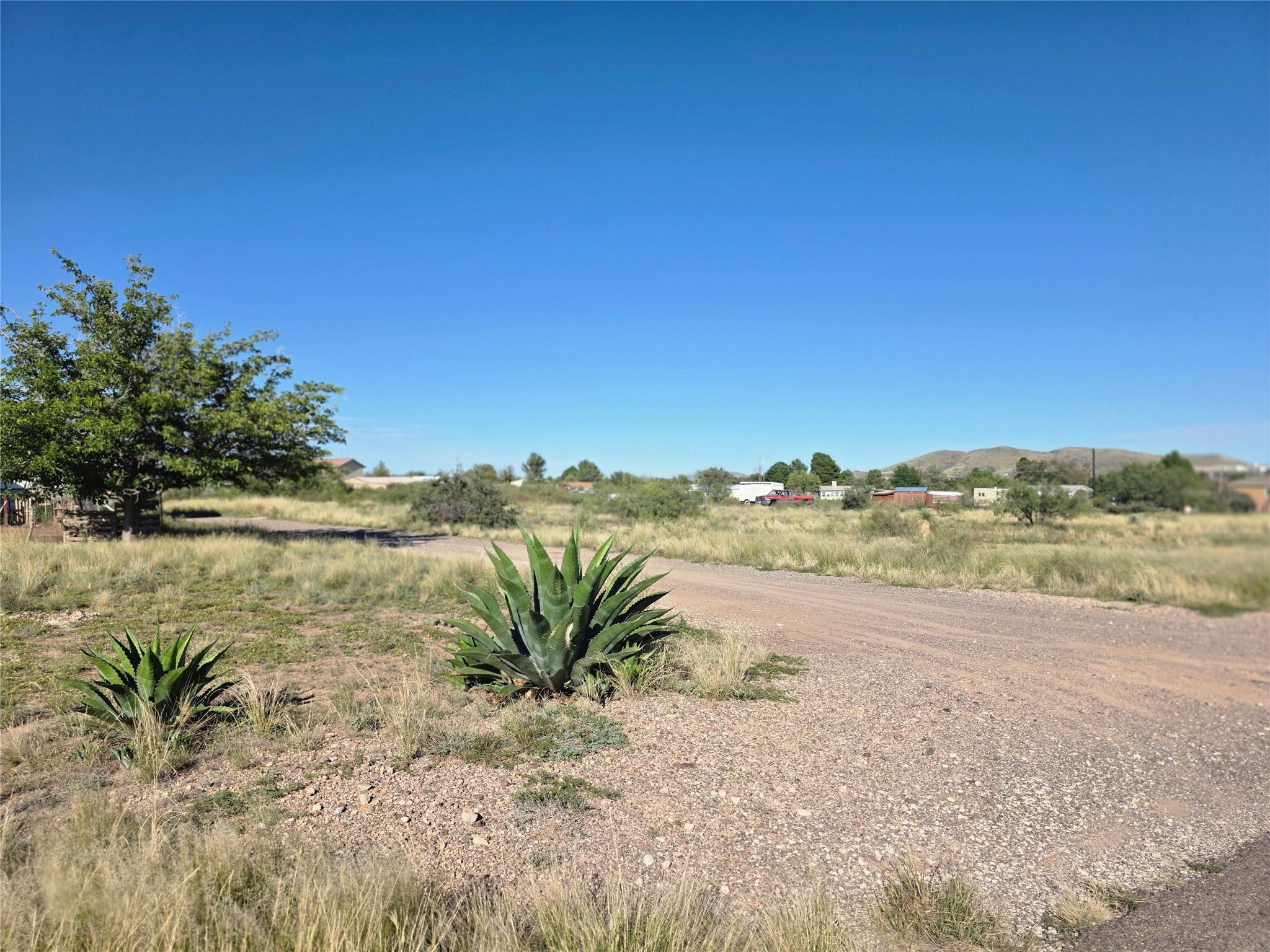 2407 Covey Ln Property Photo 10