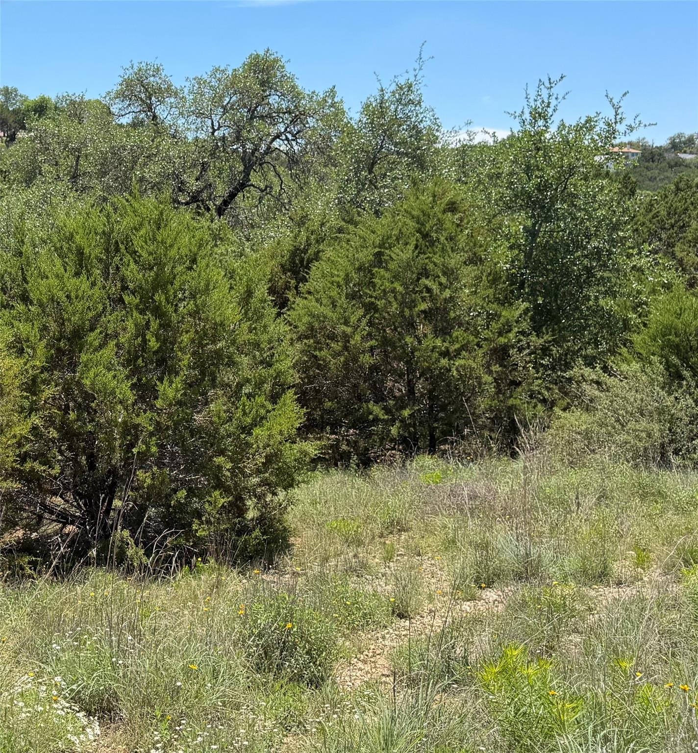 4706 Outpost Trce Property Photo 6