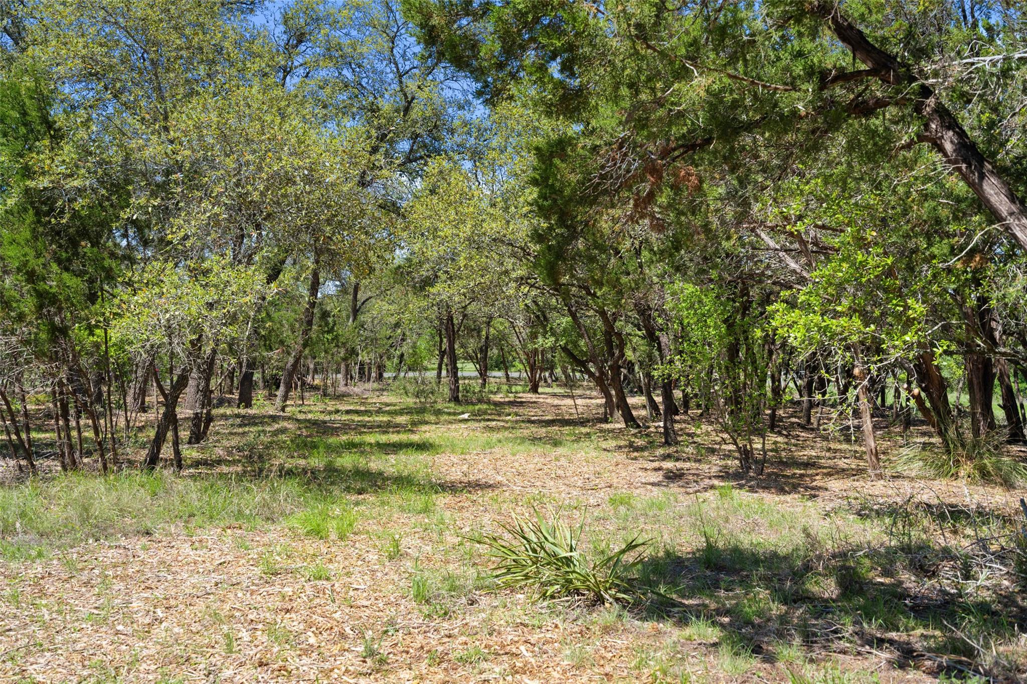 1005 Lisa Dr Property Photo 34