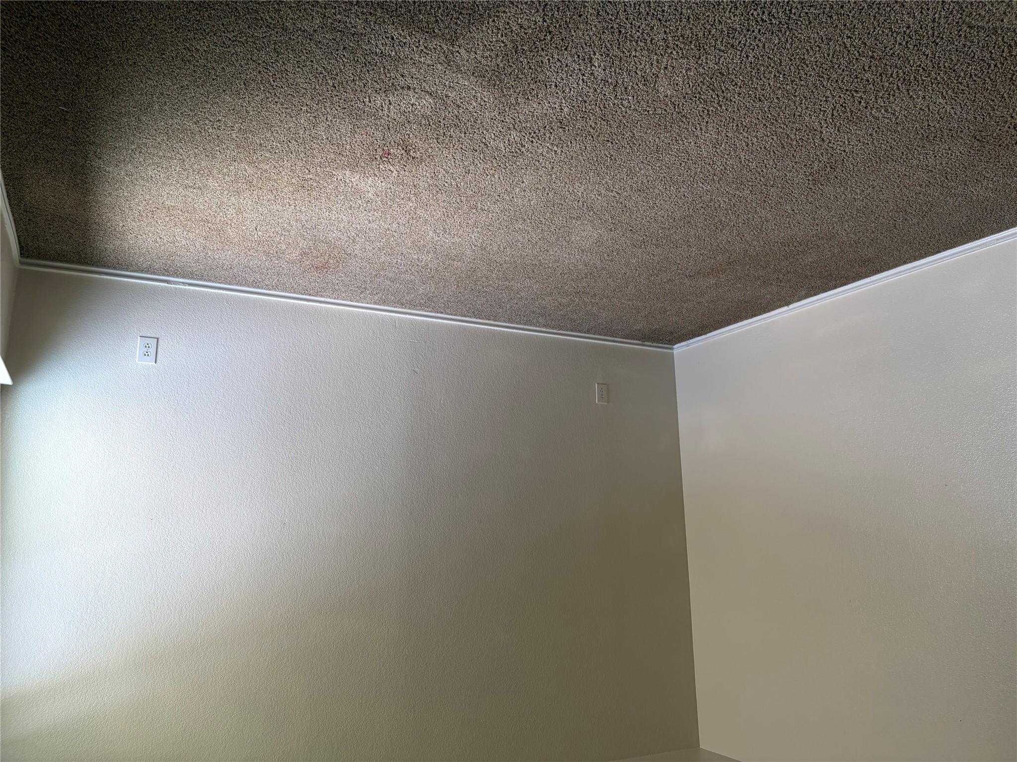 11805 Stoney Meadow Dr Property Photo 12