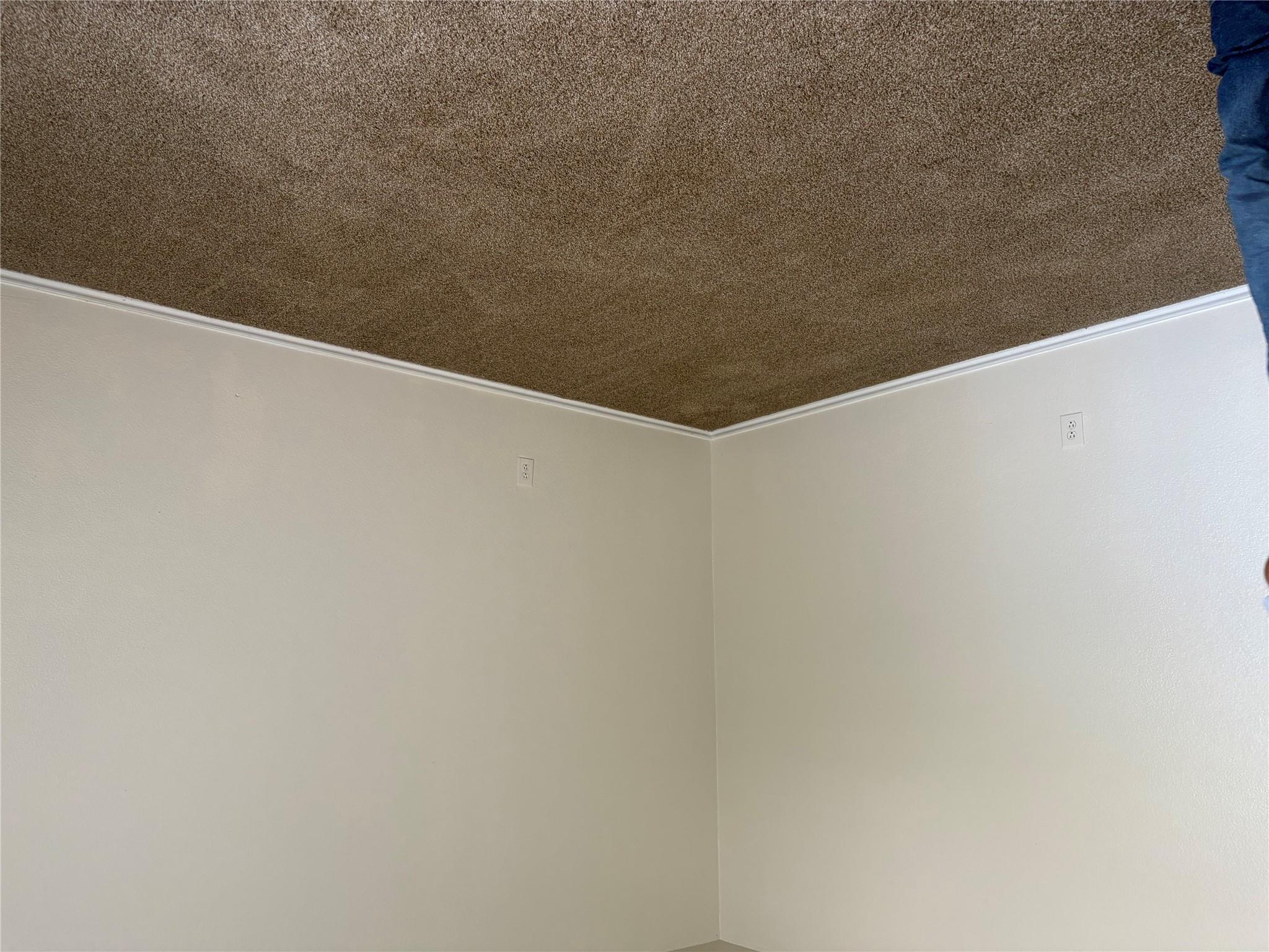 11805 Stoney Meadow Dr Property Photo 13