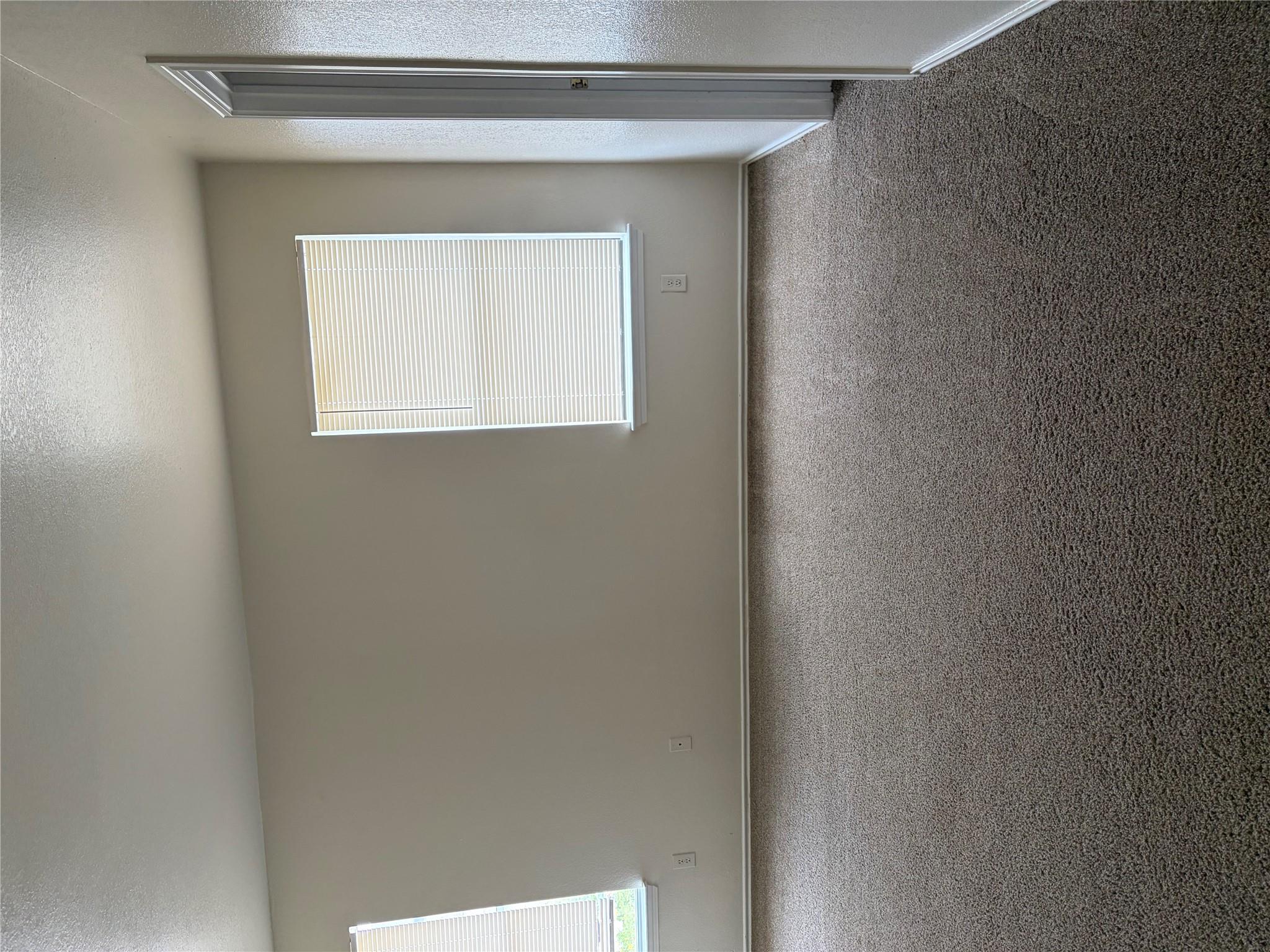 11805 Stoney Meadow Dr Property Photo 21