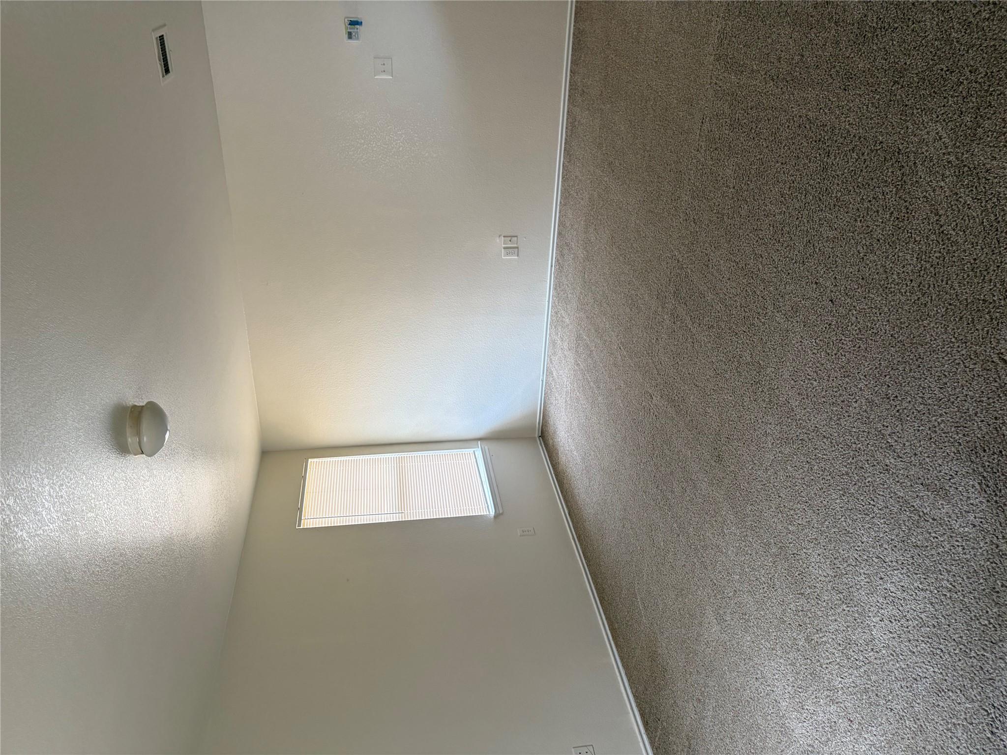 11805 Stoney Meadow Dr Property Photo 22