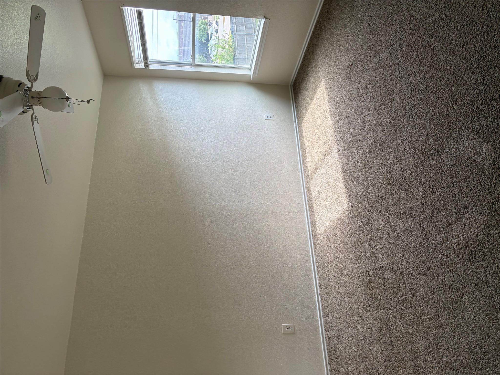 11805 Stoney Meadow Dr Property Photo 24