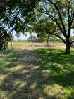 3150 Cr 152 None Property Photo 4
