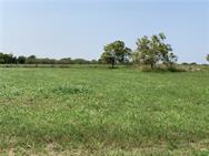 3150 Cr 152 None Property Photo 7