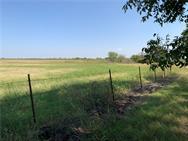 3150 Cr 152 None Property Photo 8