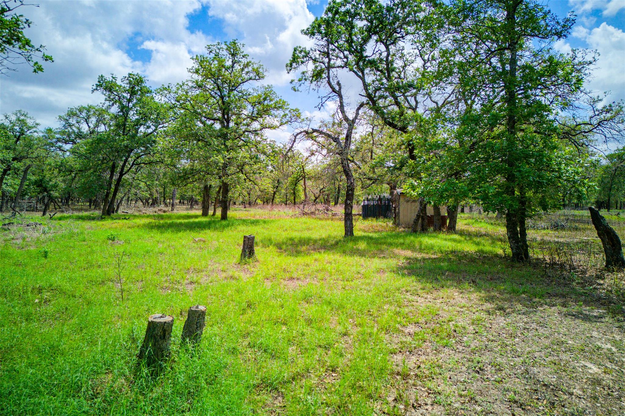 501 Turkey Tree Trl Property Photo 33