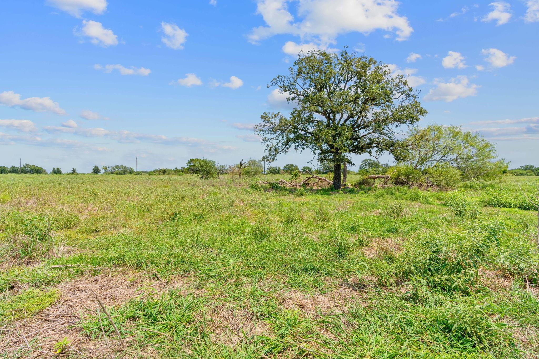 Lot 10 Cr 402 Property Photo