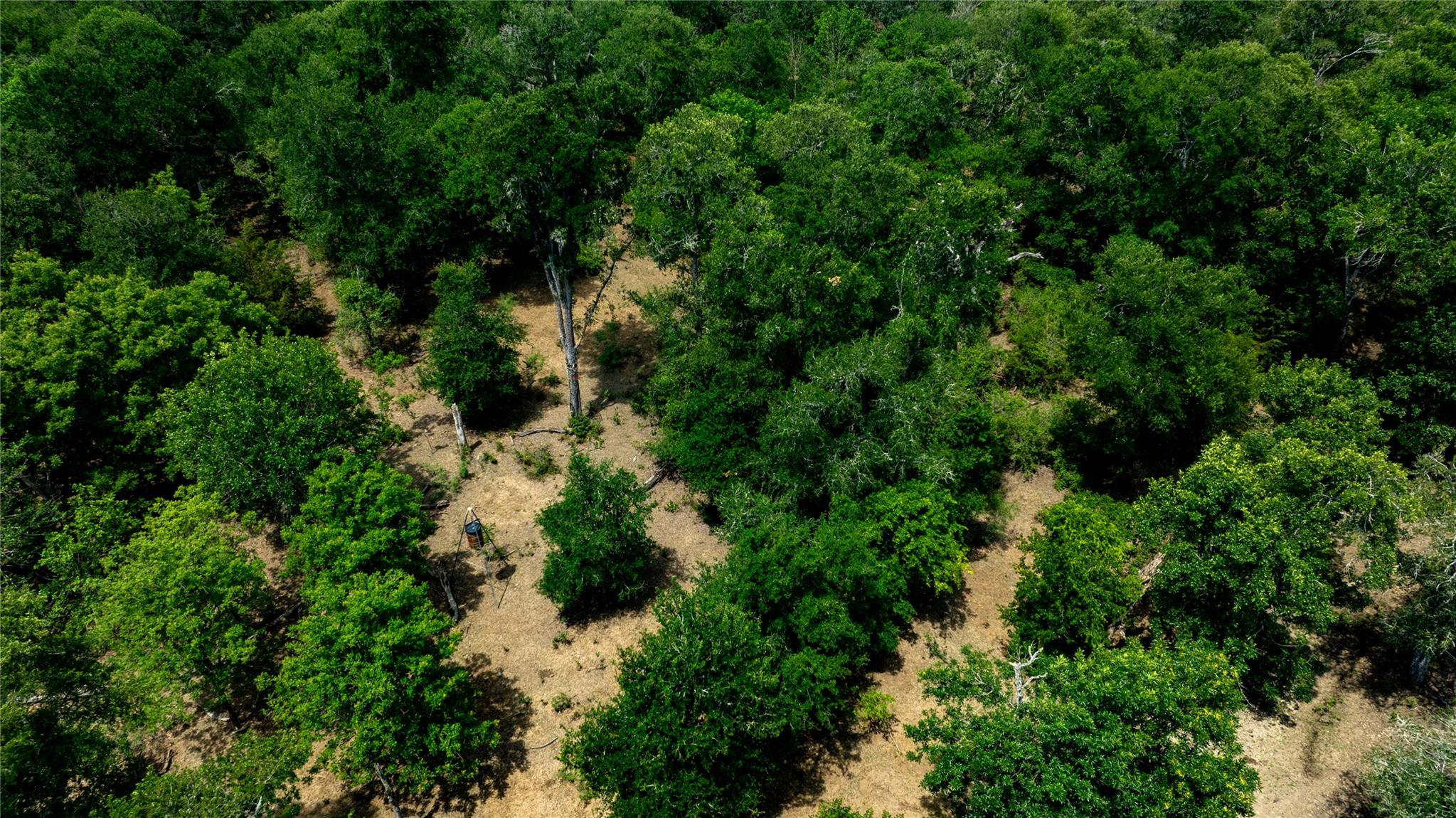 1400 Seminole Trl Property Photo 20