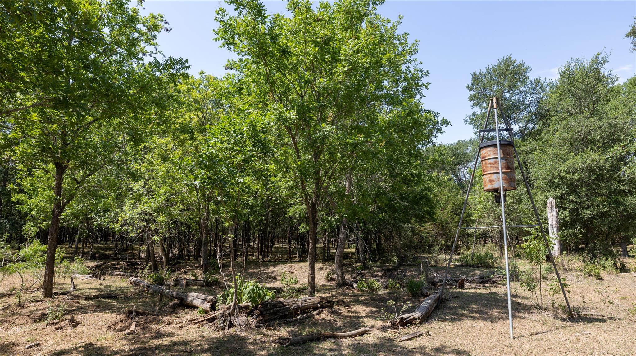 1400 Seminole Trl Property Photo 31