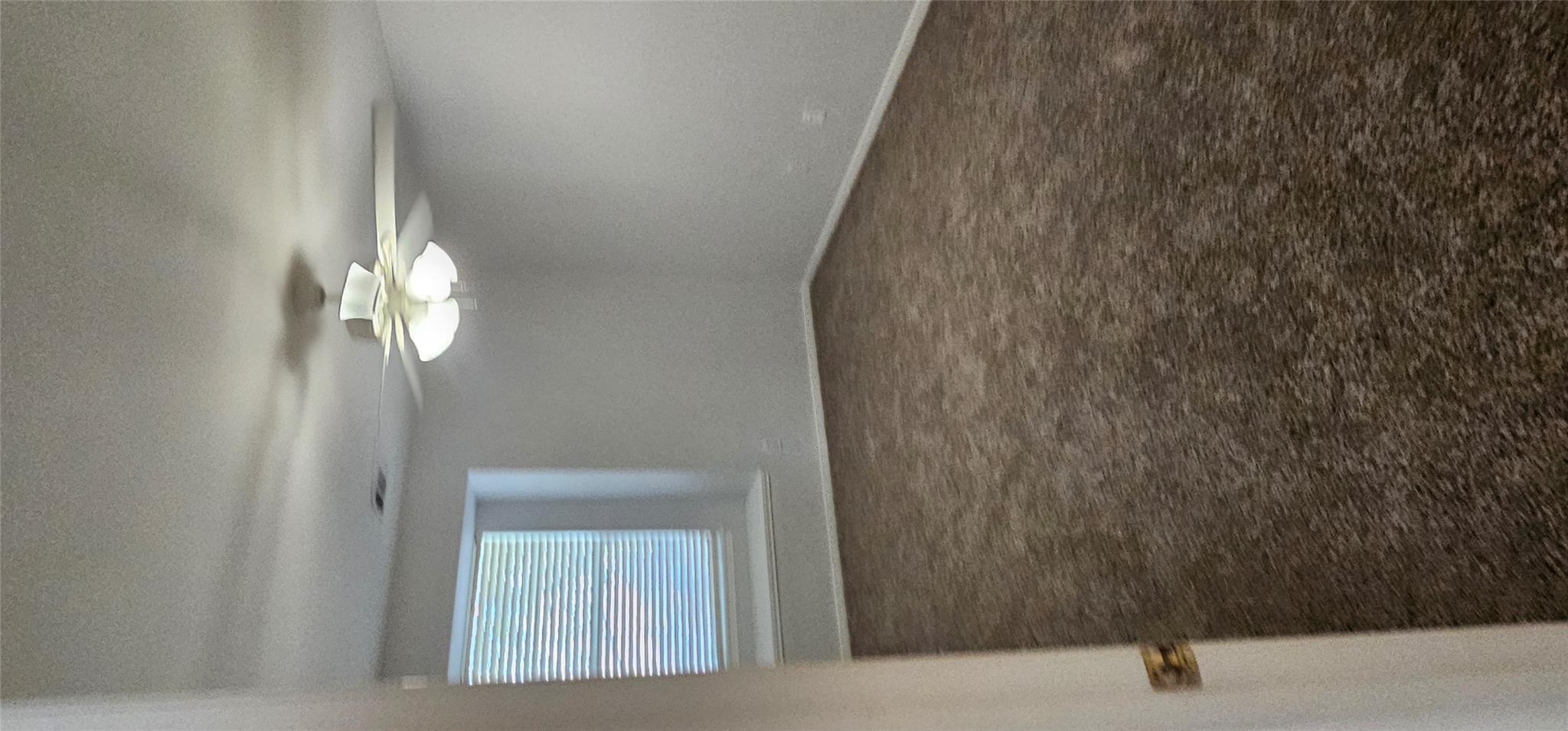 804 Windsor Hill Dr Property Photo 20