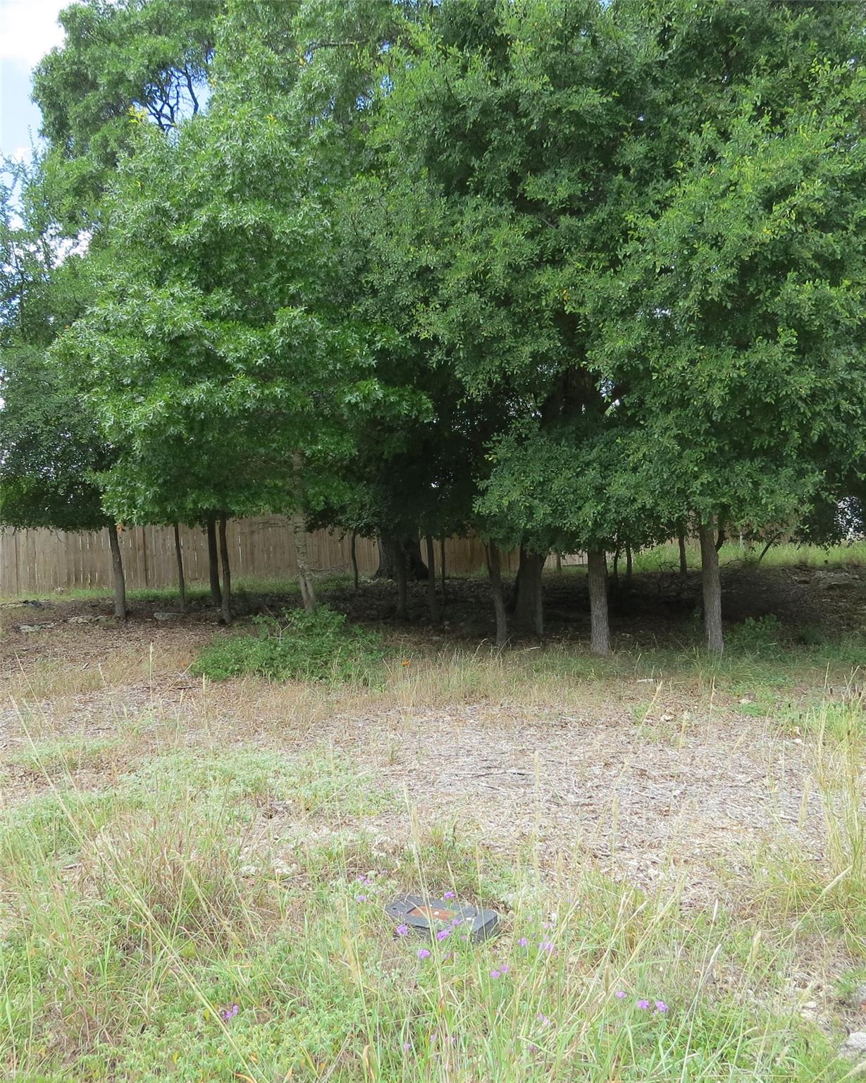 1047158 Property Photo 2