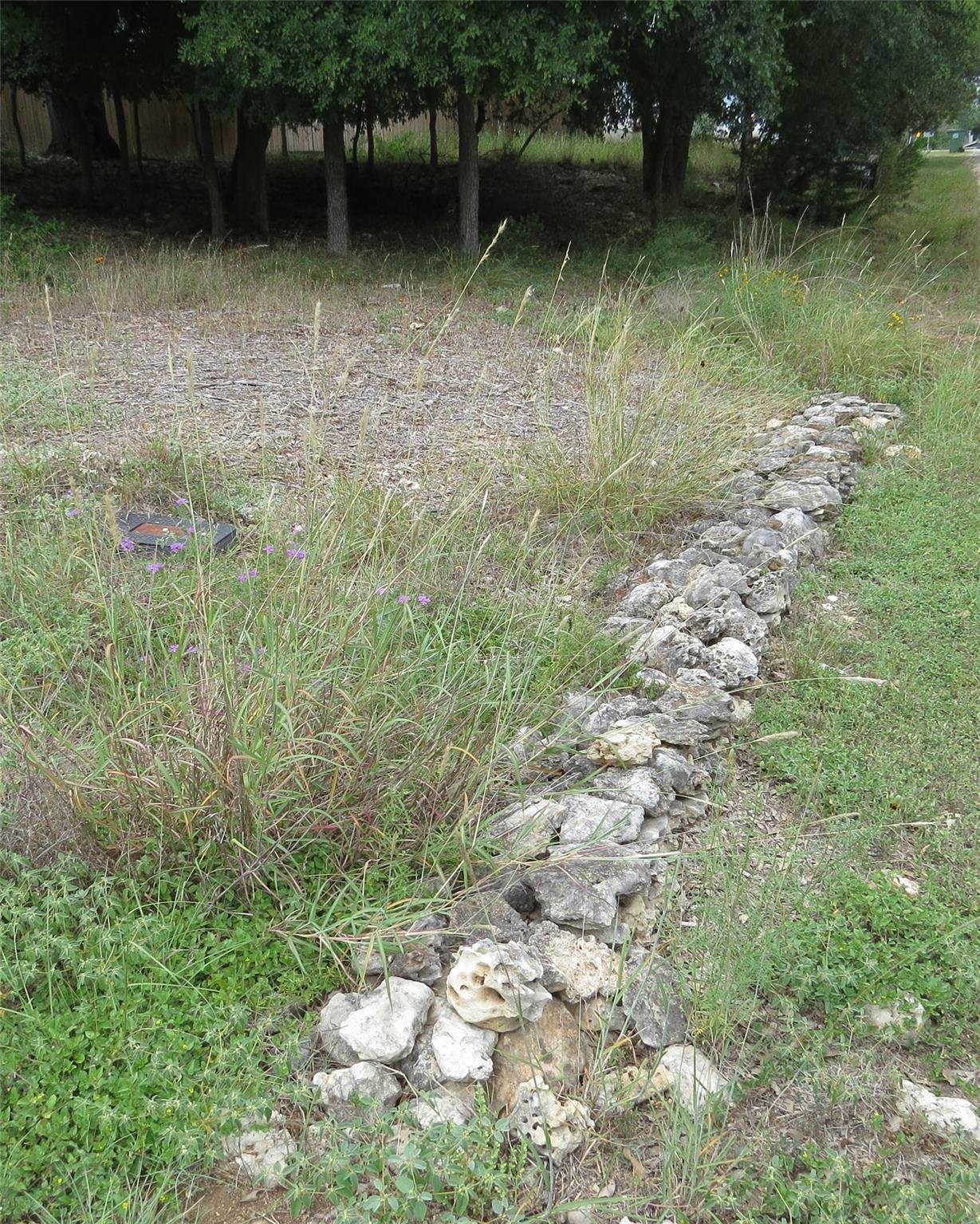1047158 Property Photo 3