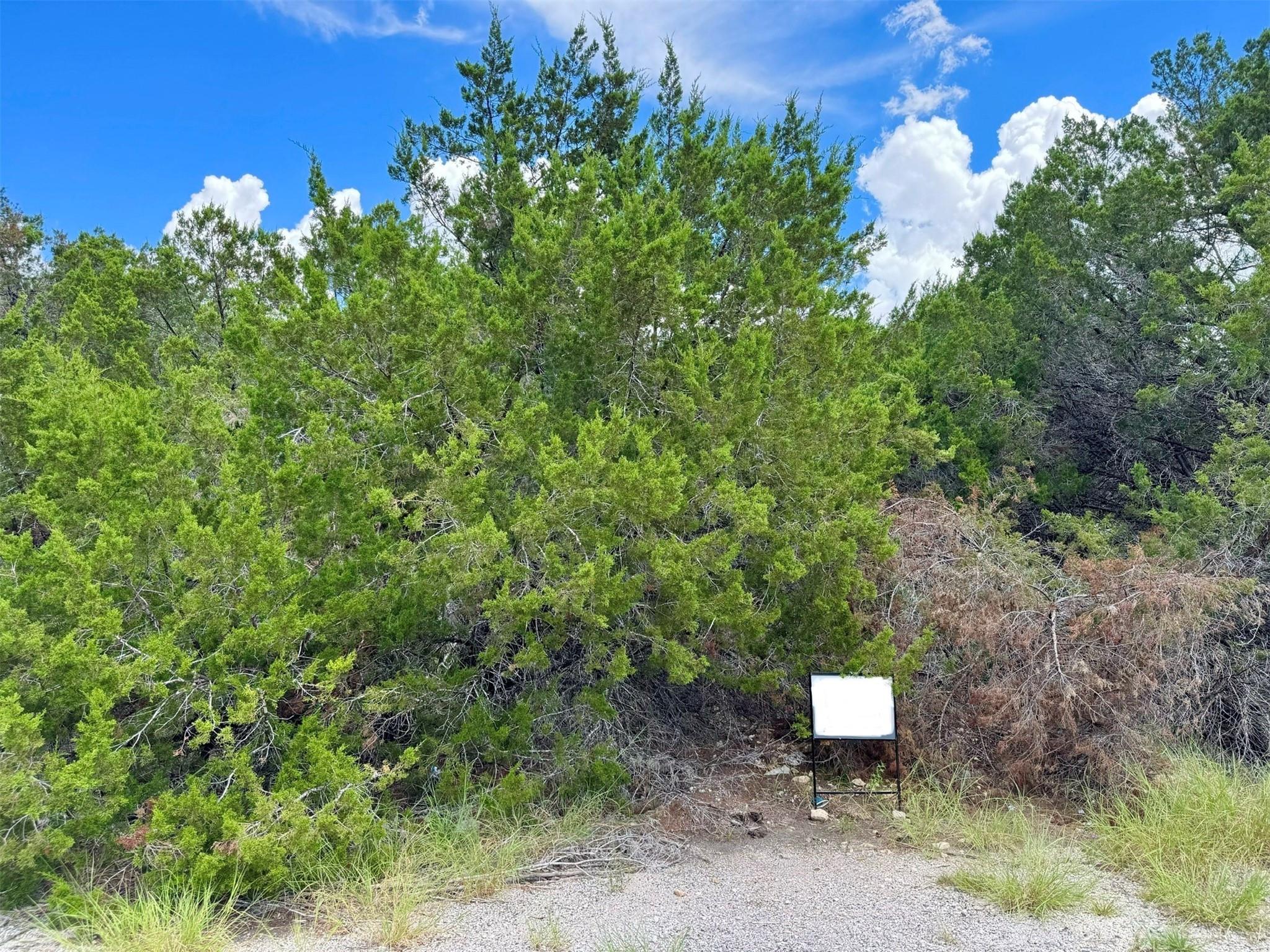 20200 Lewis Cv Property Photo 3