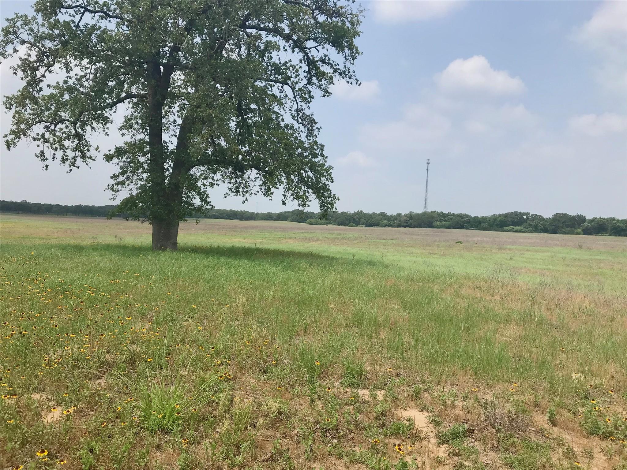 1672 Tract 1 Sayers Rd Property Photo