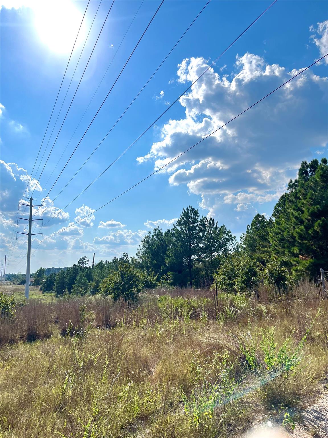 Tbd Ponderosa Loop None Property Photo 2