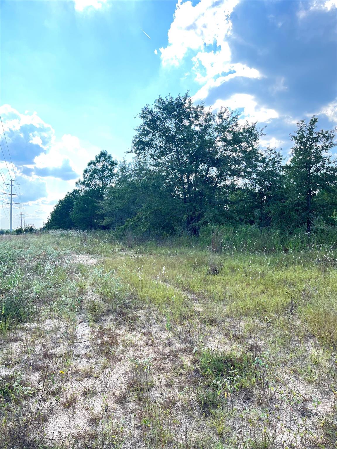Tbd Ponderosa Loop None Property Photo 3