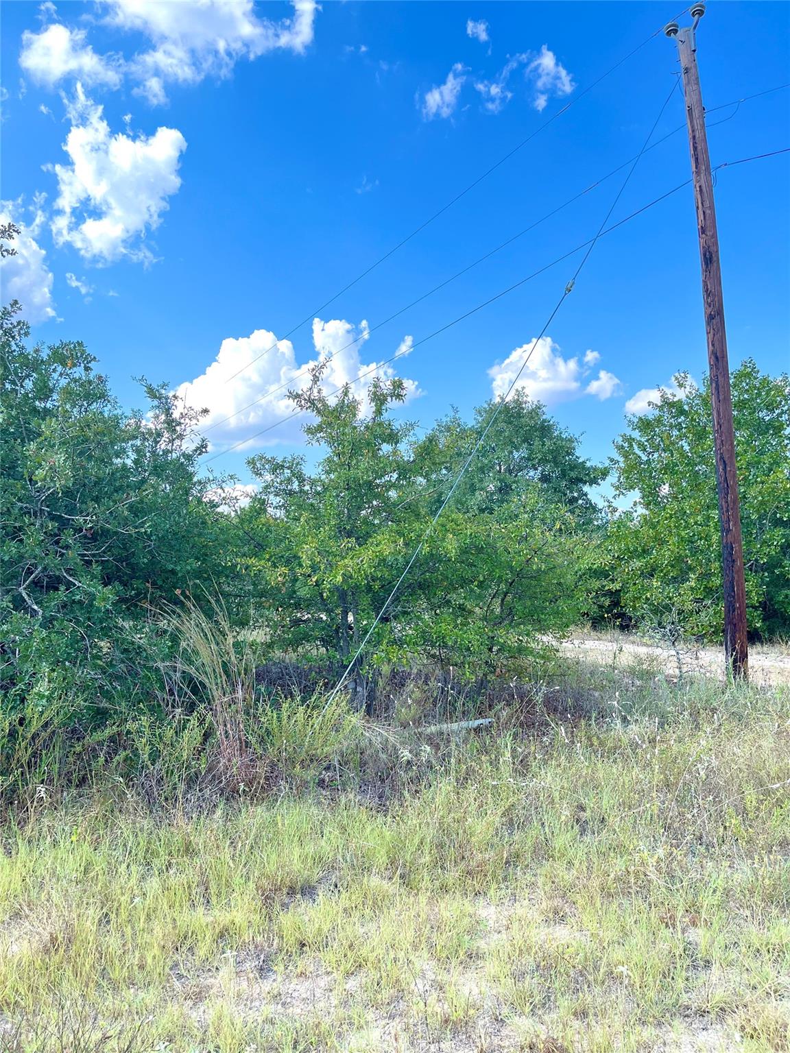 Tbd Ponderosa Loop None Property Photo 4