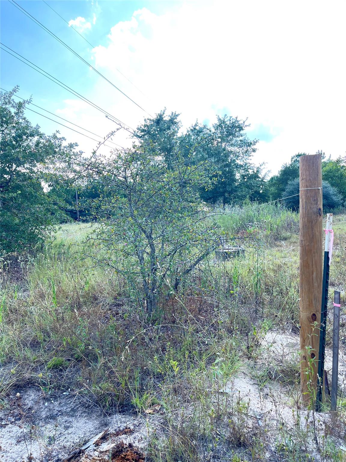 Tbd Ponderosa Loop None Property Photo 6