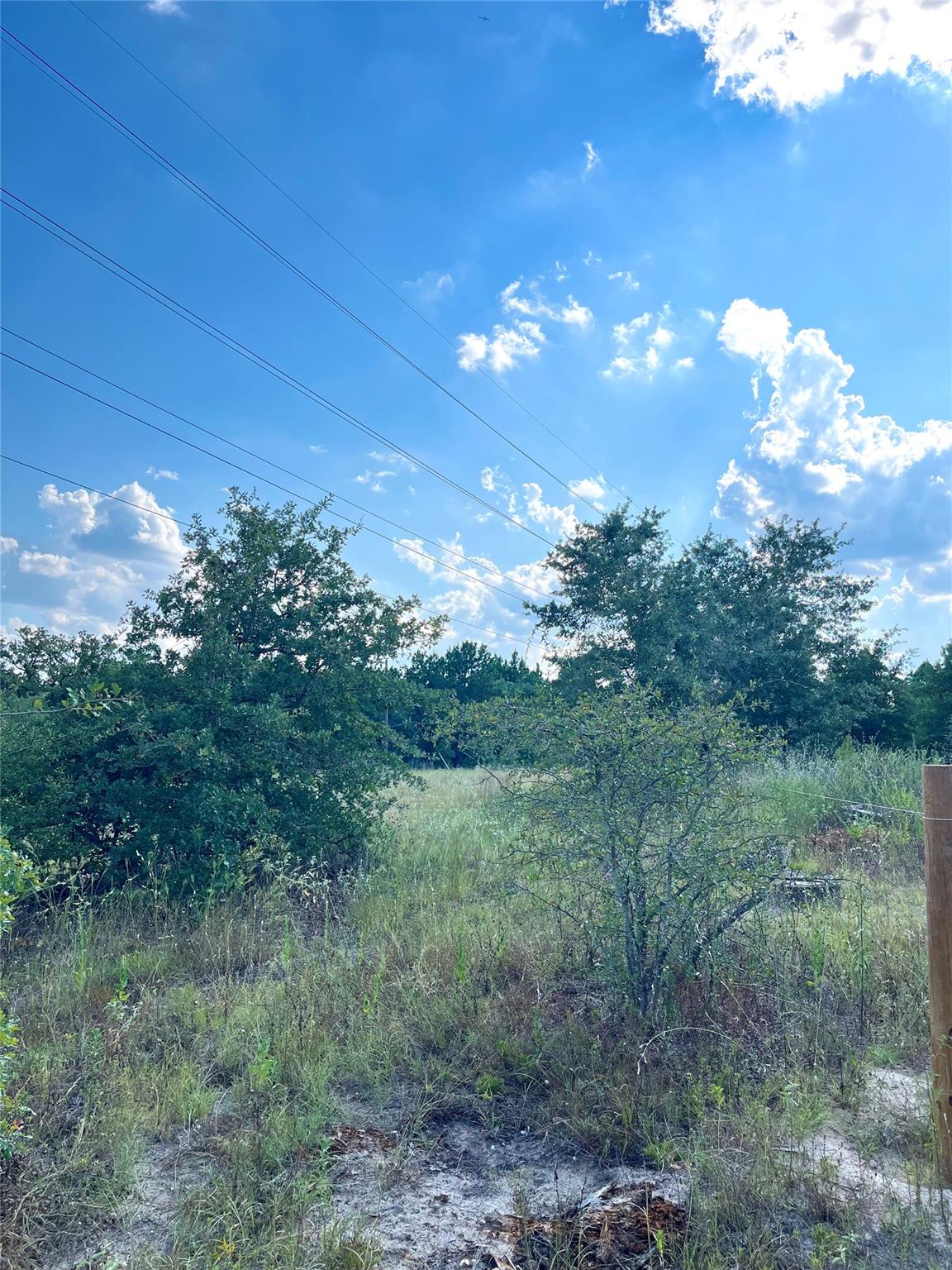 Tbd Ponderosa Loop None Property Photo 7
