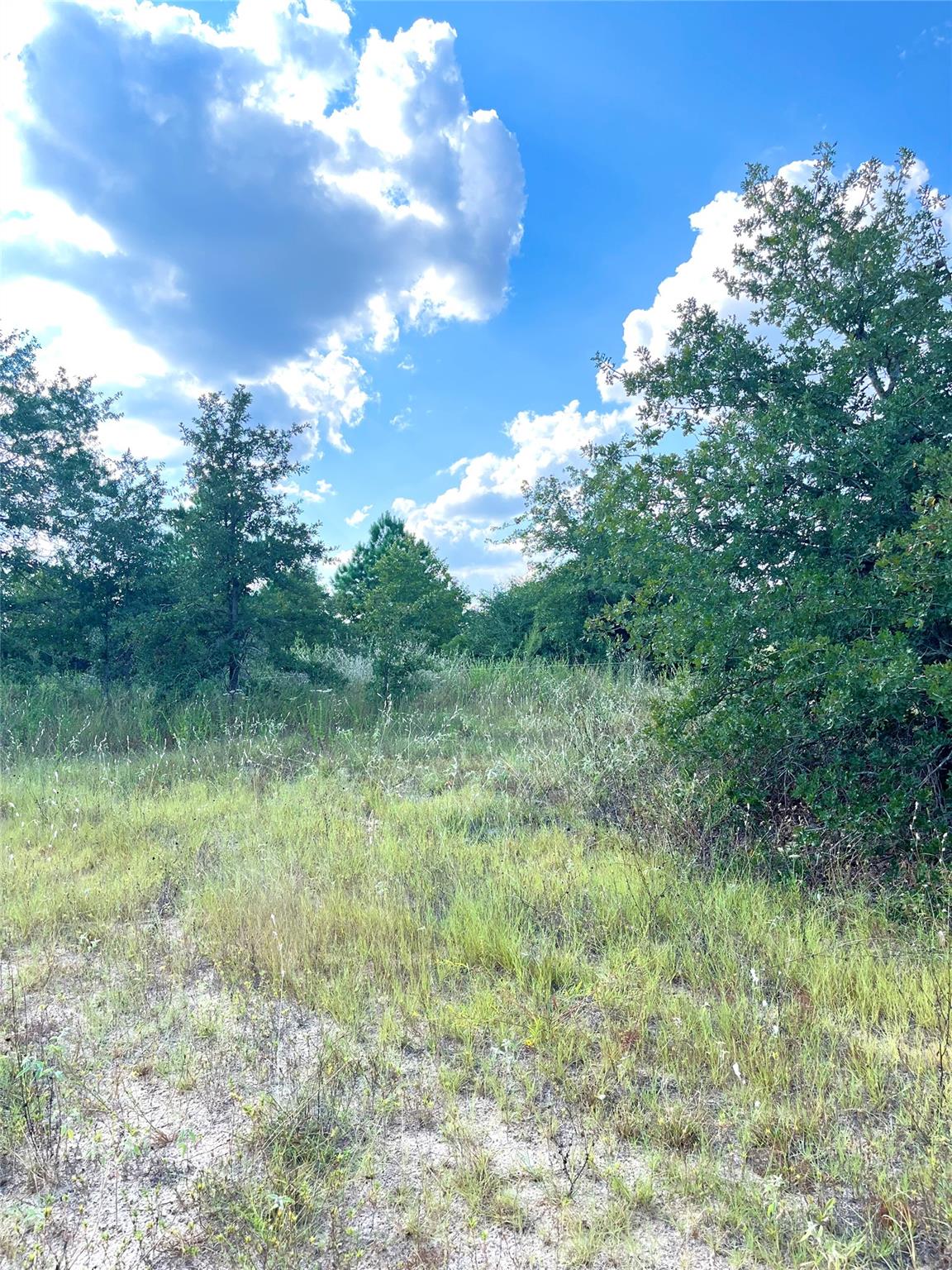 Tbd Ponderosa Loop None Property Photo 8