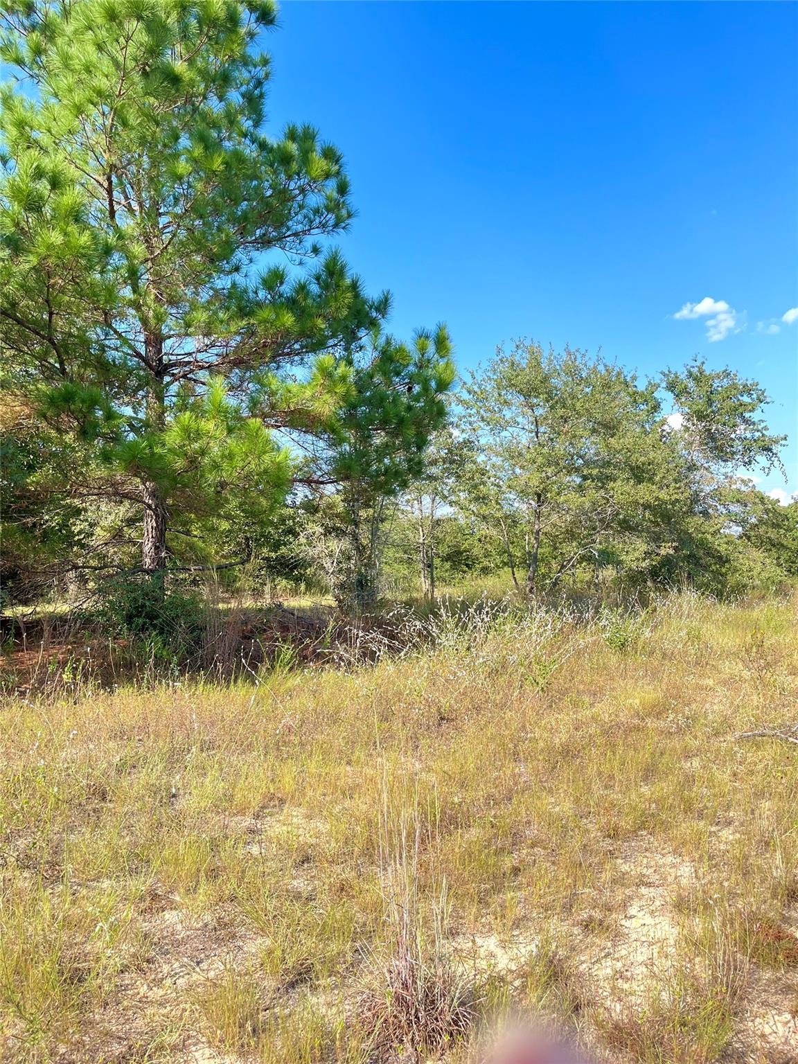 Tbd Ponderosa Loop None Property Photo 9