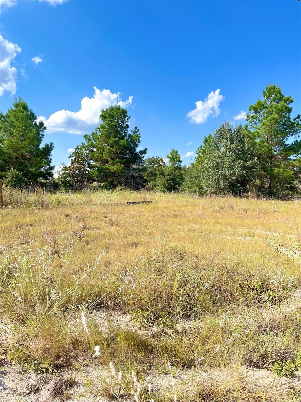 Tbd Ponderosa Loop None Property Photo 14
