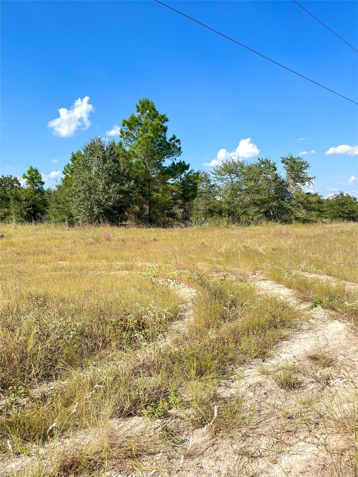 Tbd Ponderosa Loop None Property Photo 15