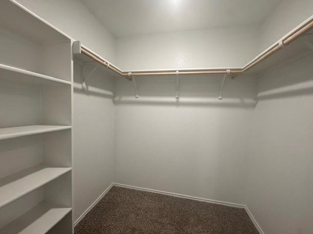 190 Celosia Loop Property Photo 8