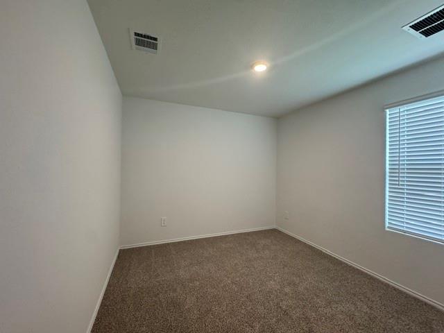190 Celosia Loop Property Photo 11