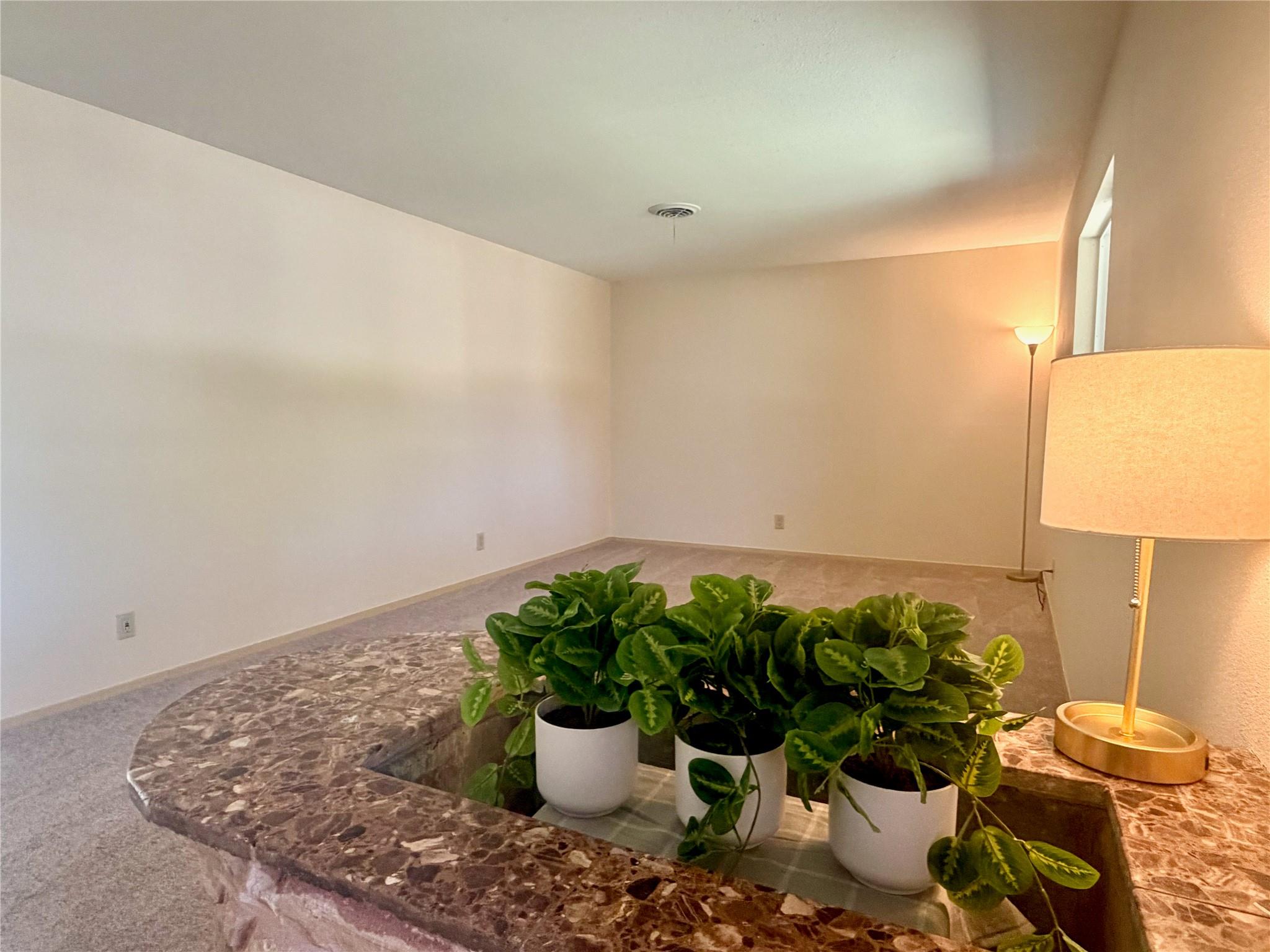 141 Oaklane Dr Property Photo 15