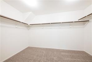 11809 Monterosso Dr Property Photo 14