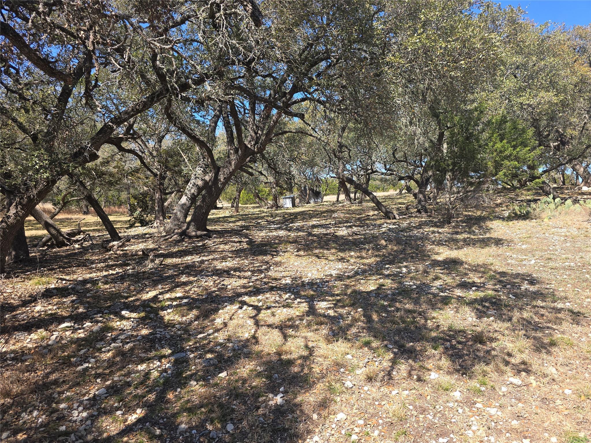 230 Bush Bok Dr Property Photo 3