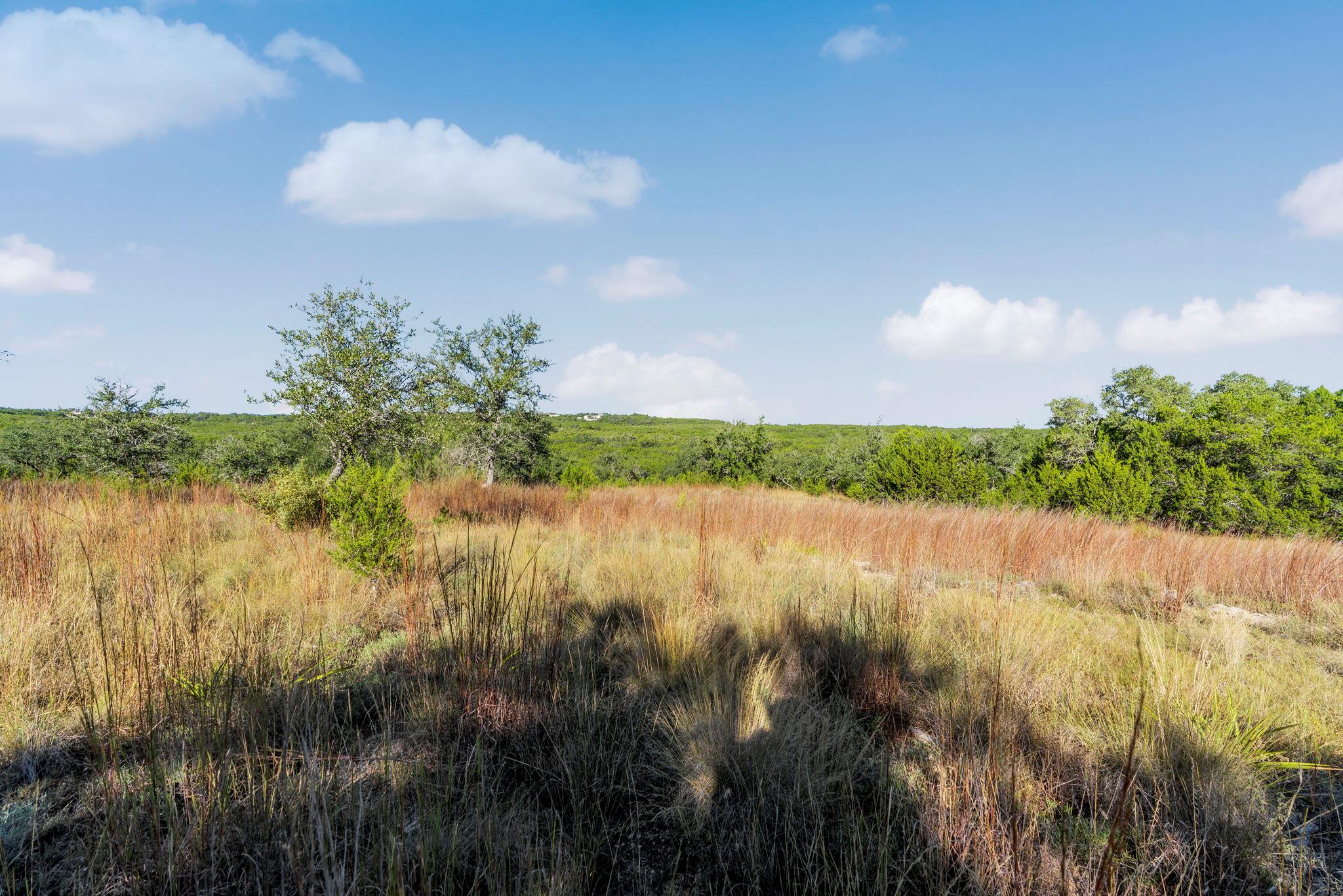 2021 Stagecoach Ranch Rd Property Photo 4