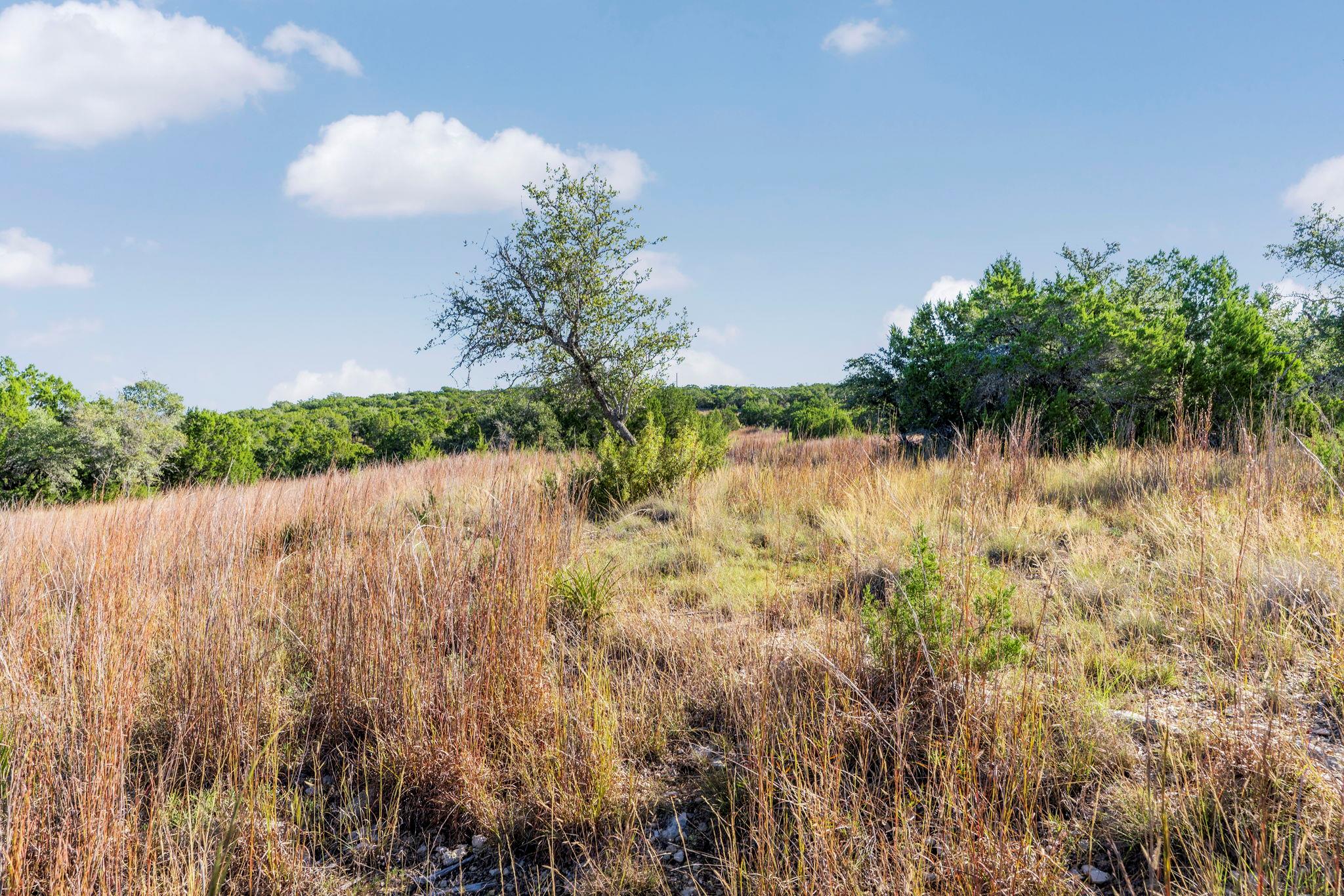2021 Stagecoach Ranch Rd Property Photo 5
