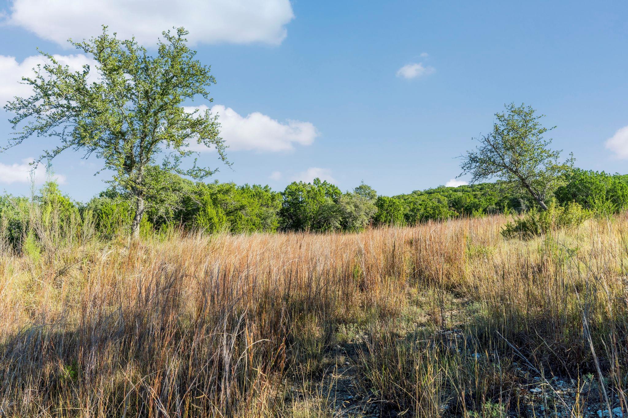 2021 Stagecoach Ranch Rd Property Photo 6
