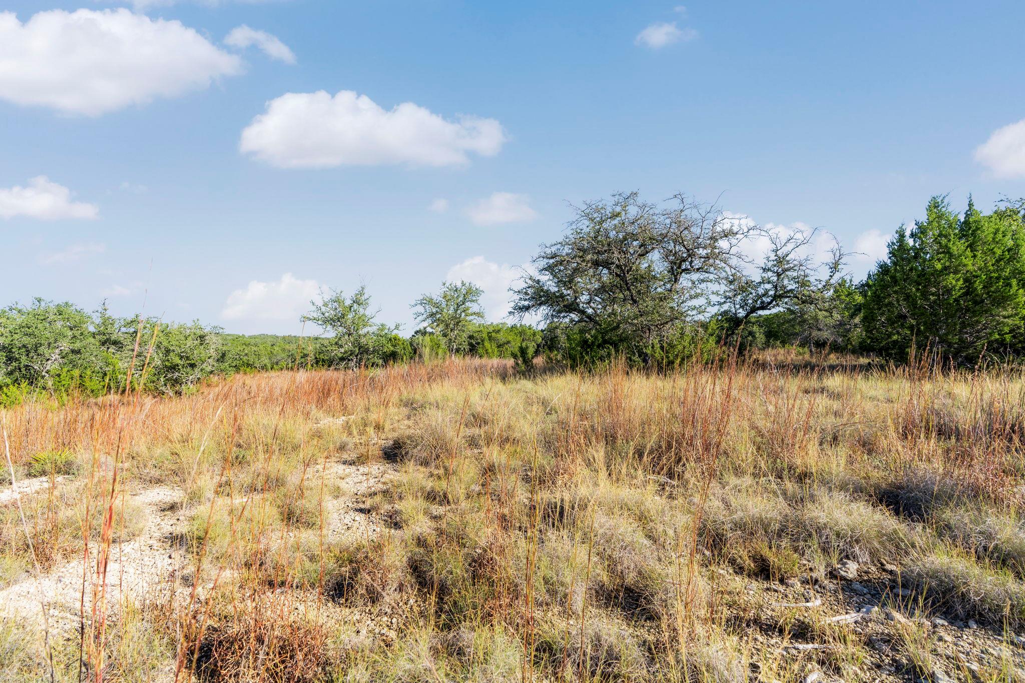 2021 Stagecoach Ranch Rd Property Photo 8