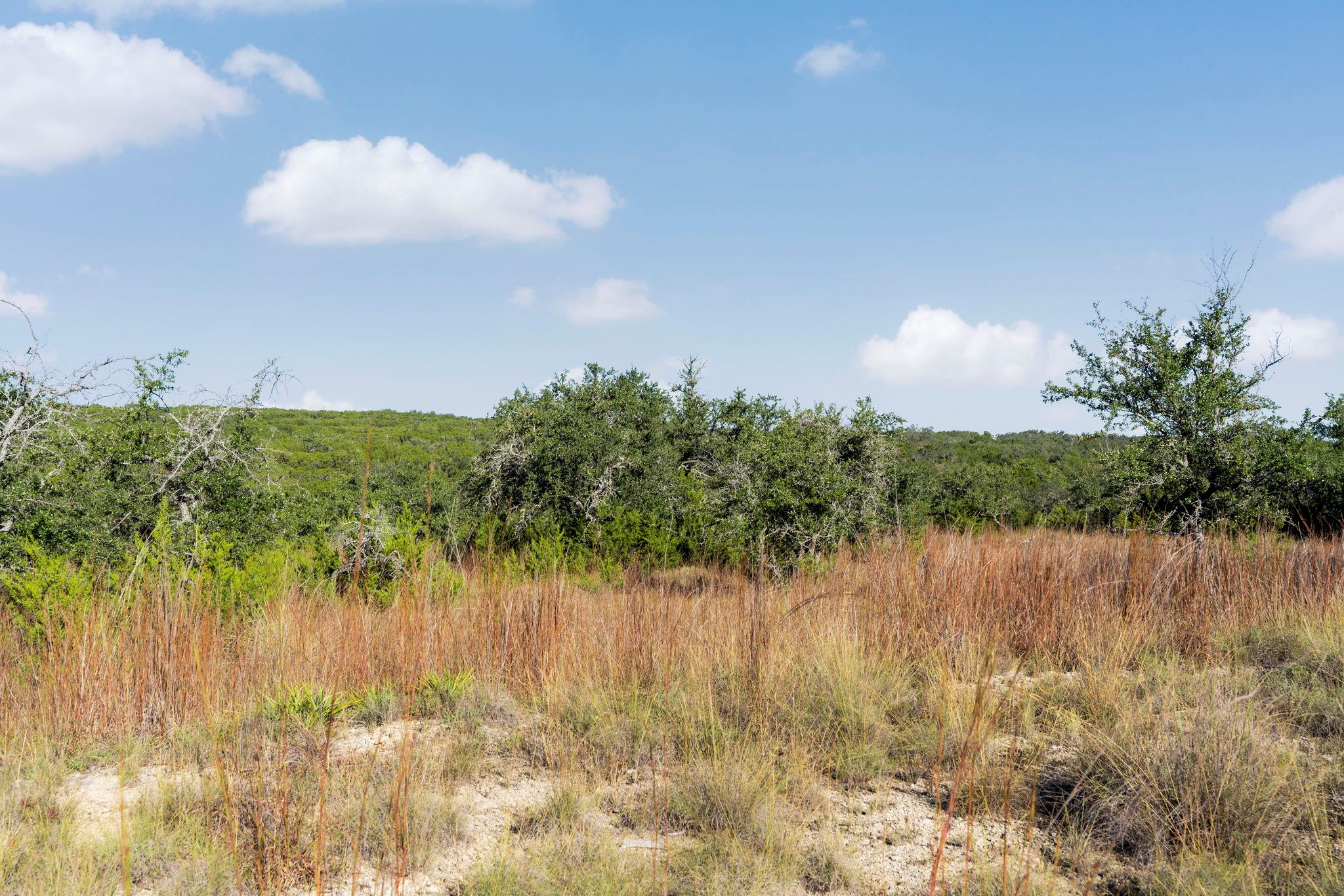 2021 Stagecoach Ranch Rd Property Photo 9