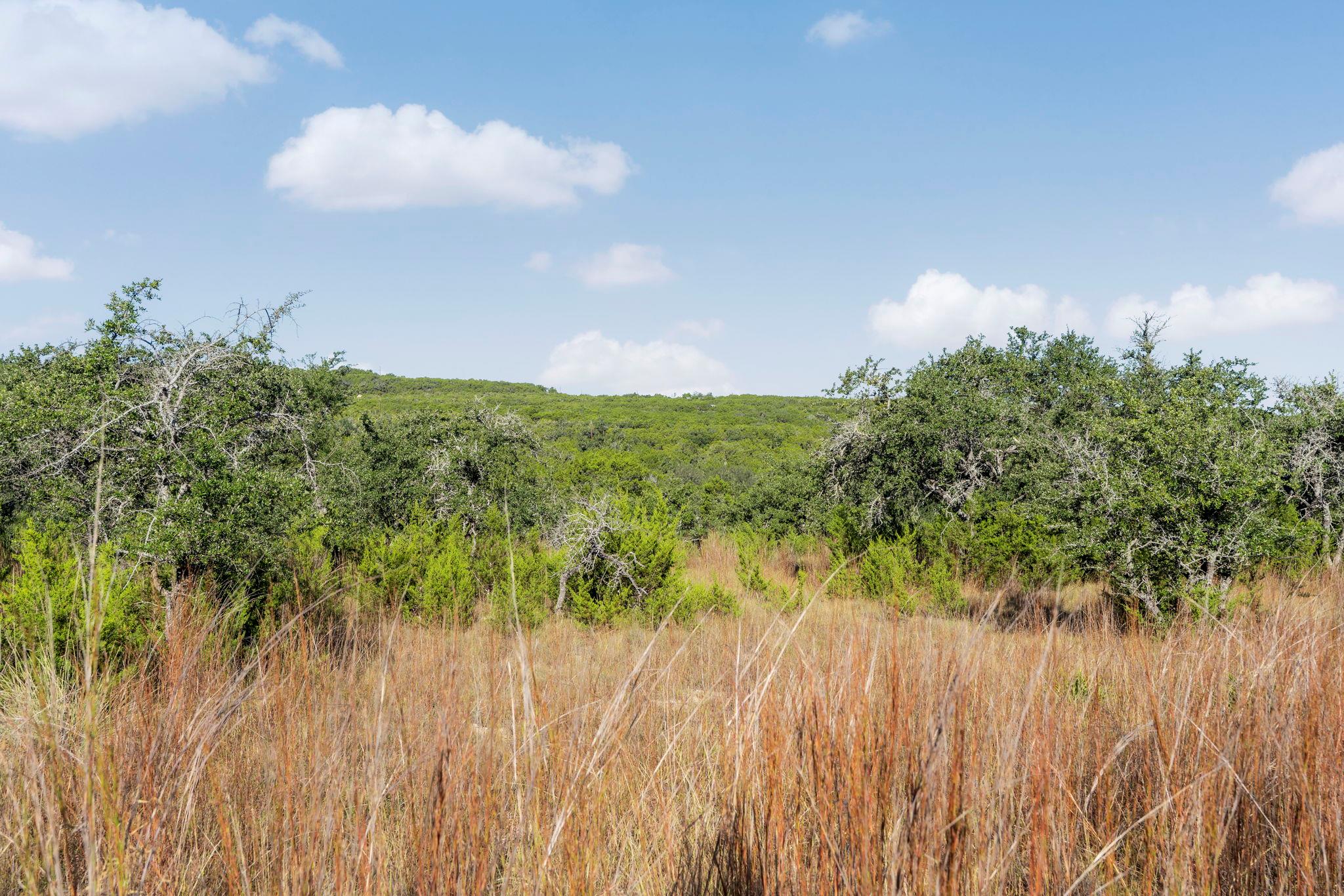 2021 Stagecoach Ranch Rd Property Photo 10