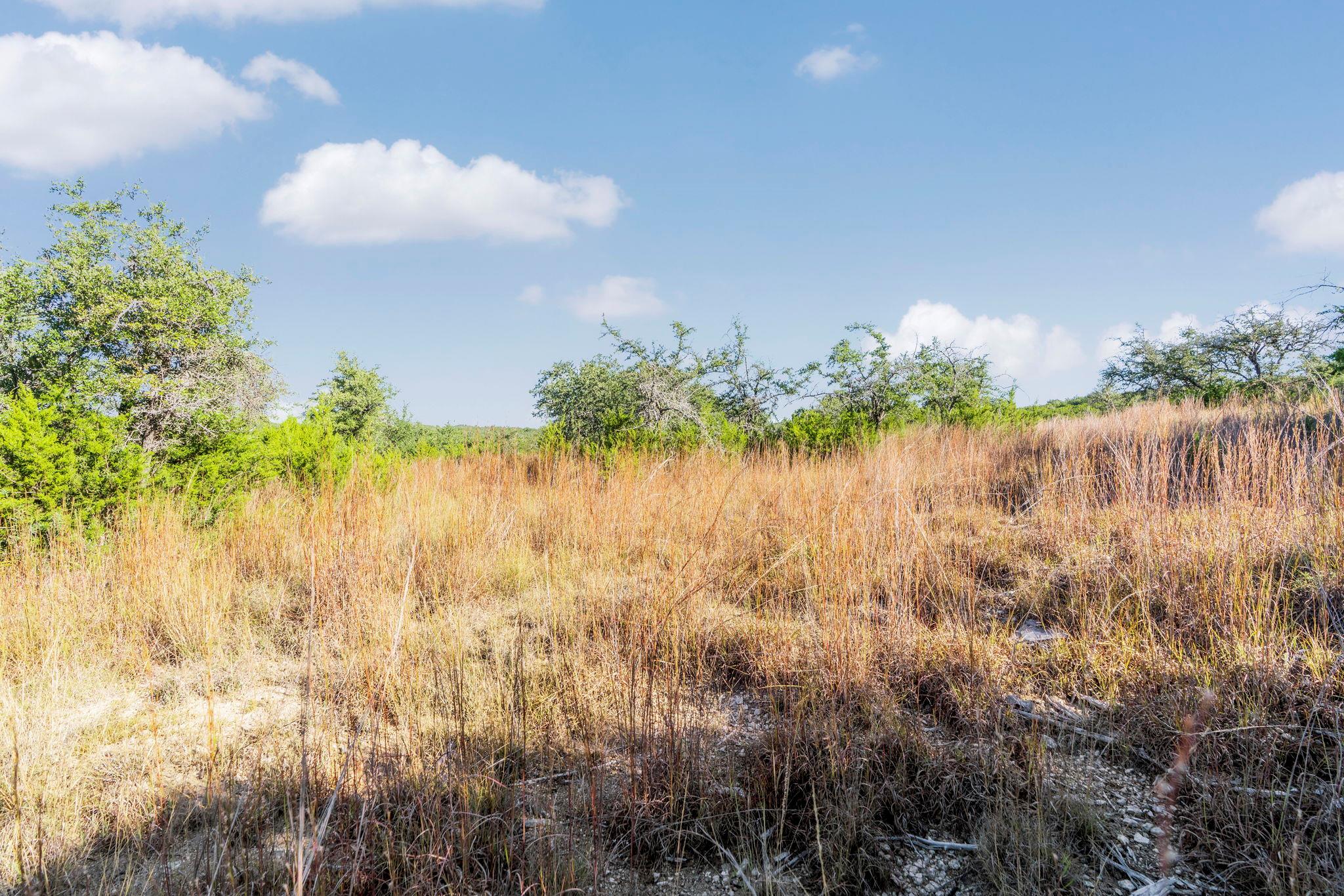 2021 Stagecoach Ranch Rd Property Photo 11