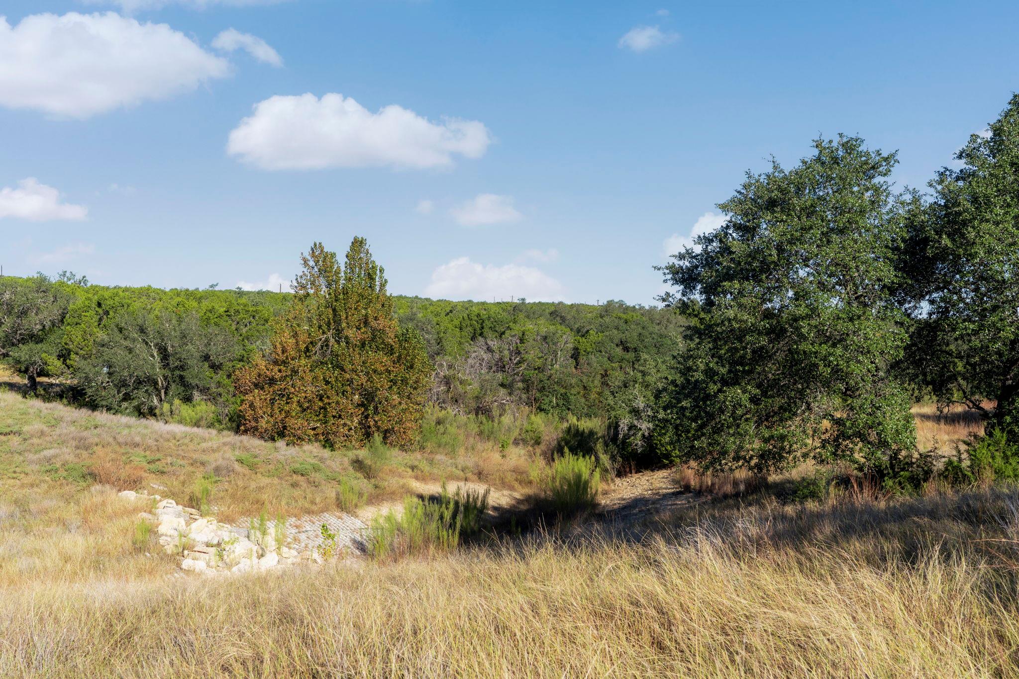 2021 Stagecoach Ranch Rd Property Photo 13