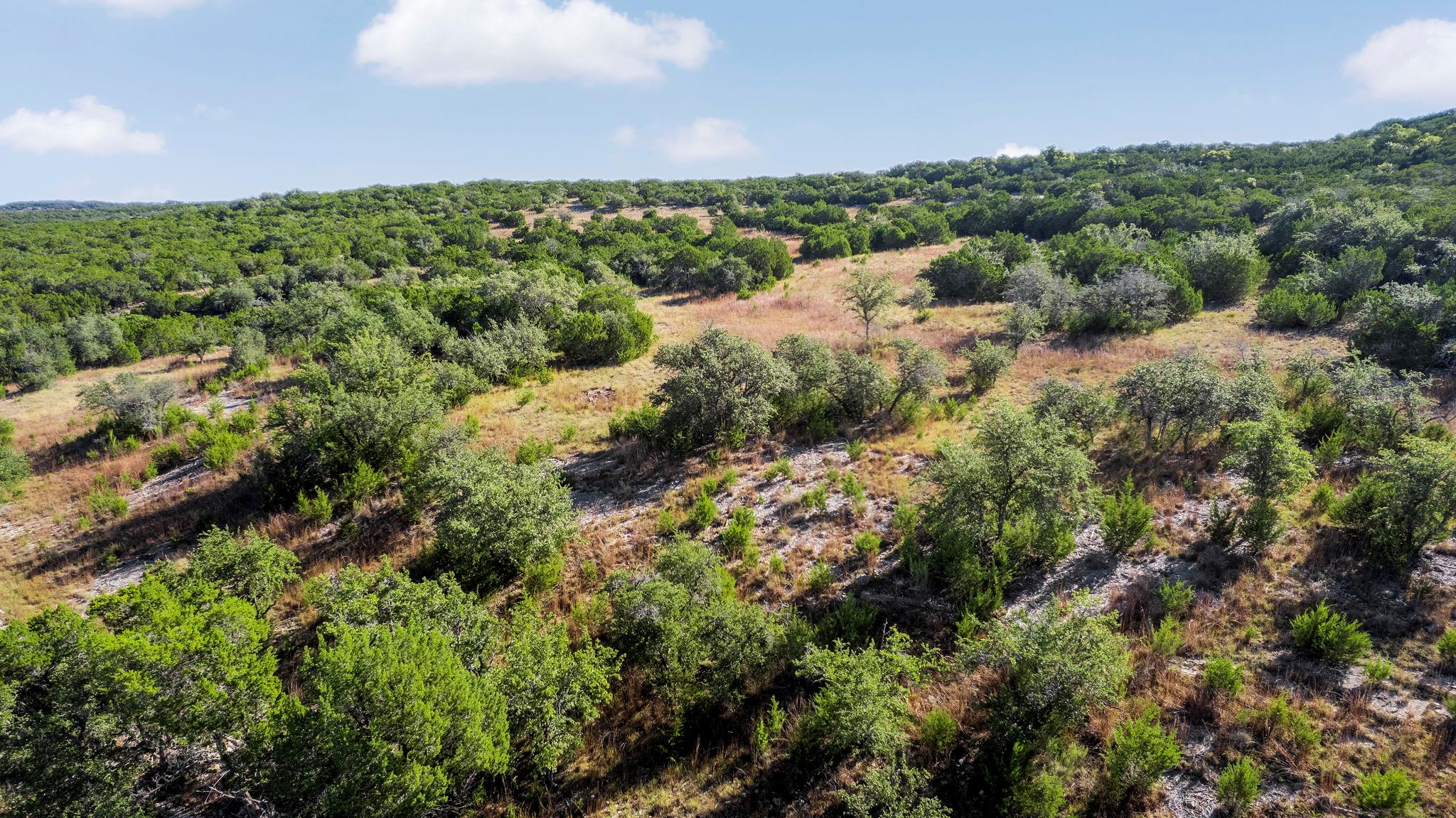 2021 Stagecoach Ranch Rd Property Photo 21