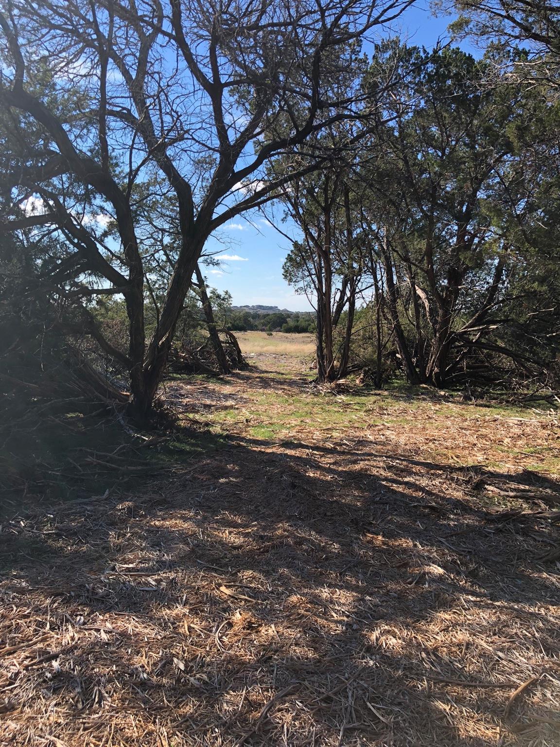 Lot 162 Addax Ct Property Photo 3